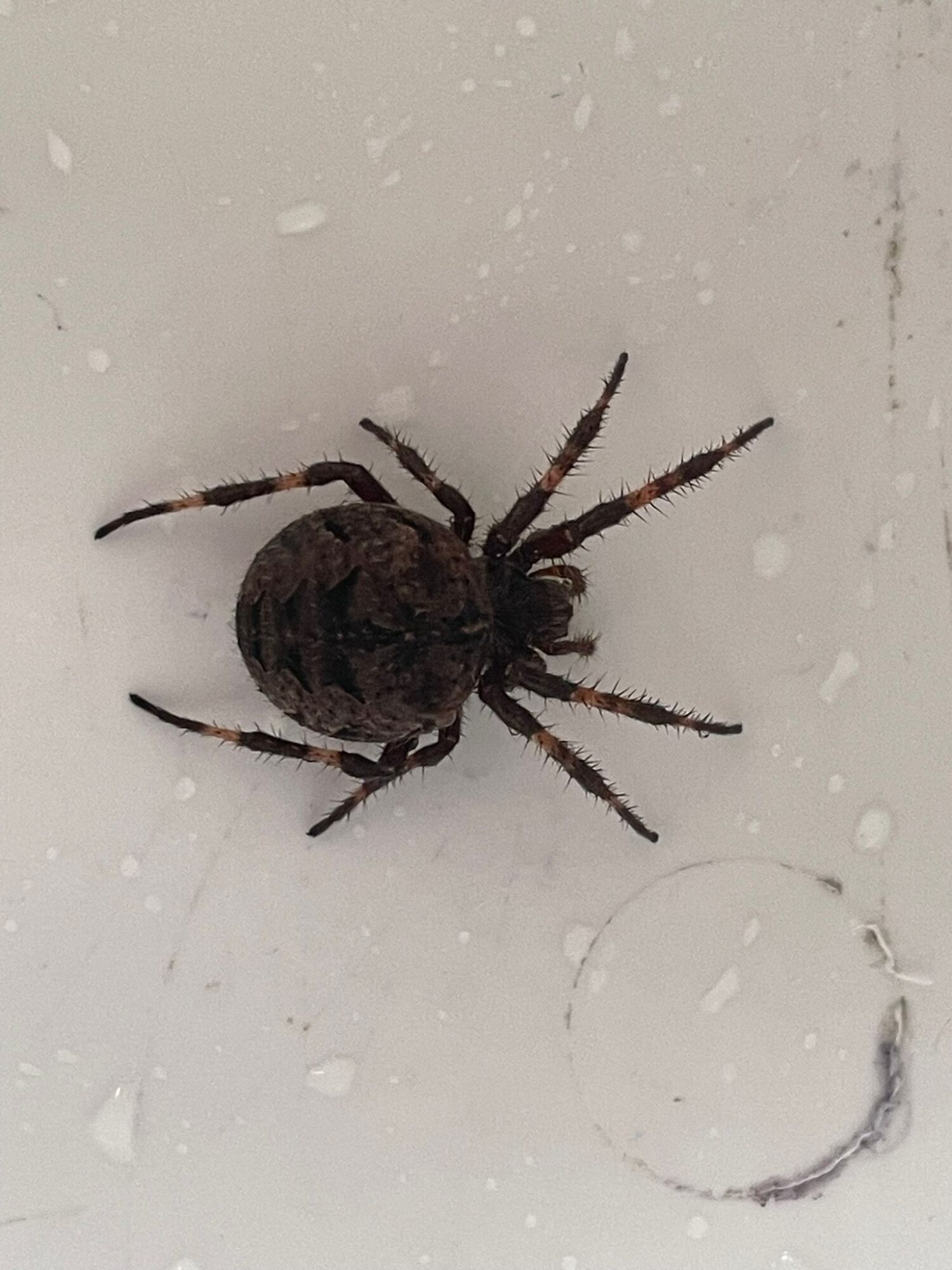 Valokuvaaja: Marcus Ekman