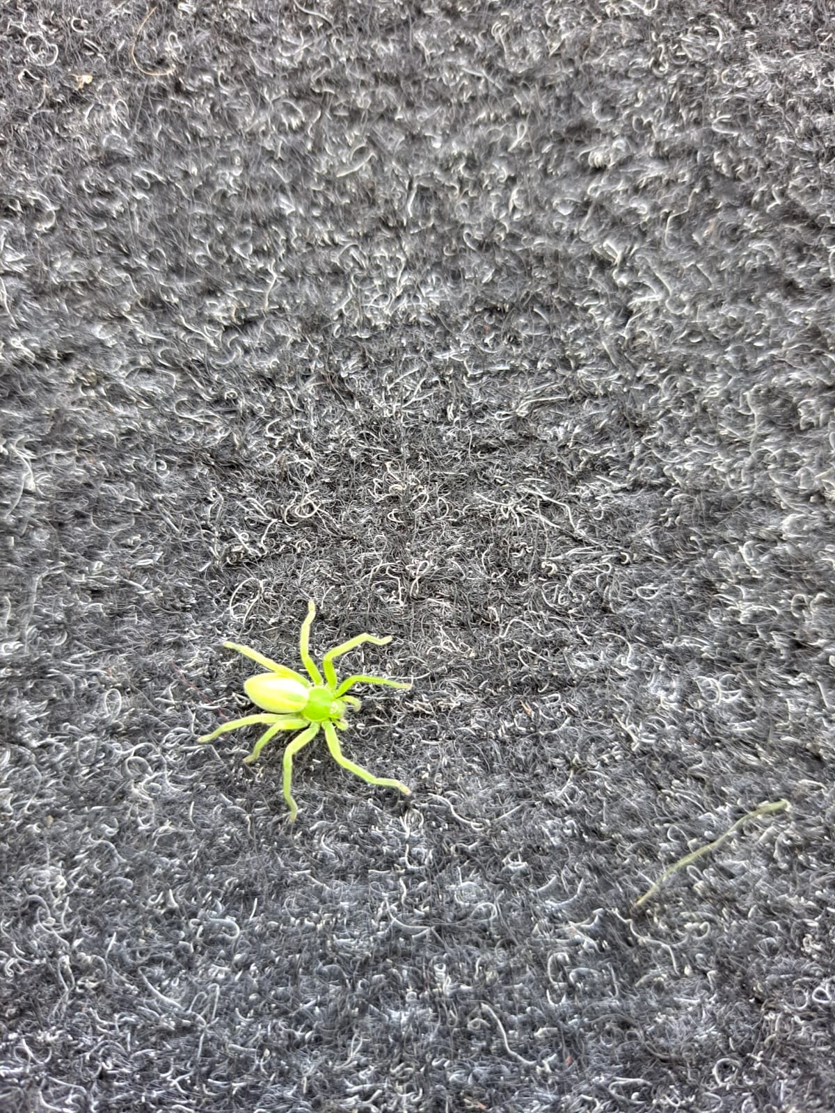 Valokuvaaja: Sari Niemi