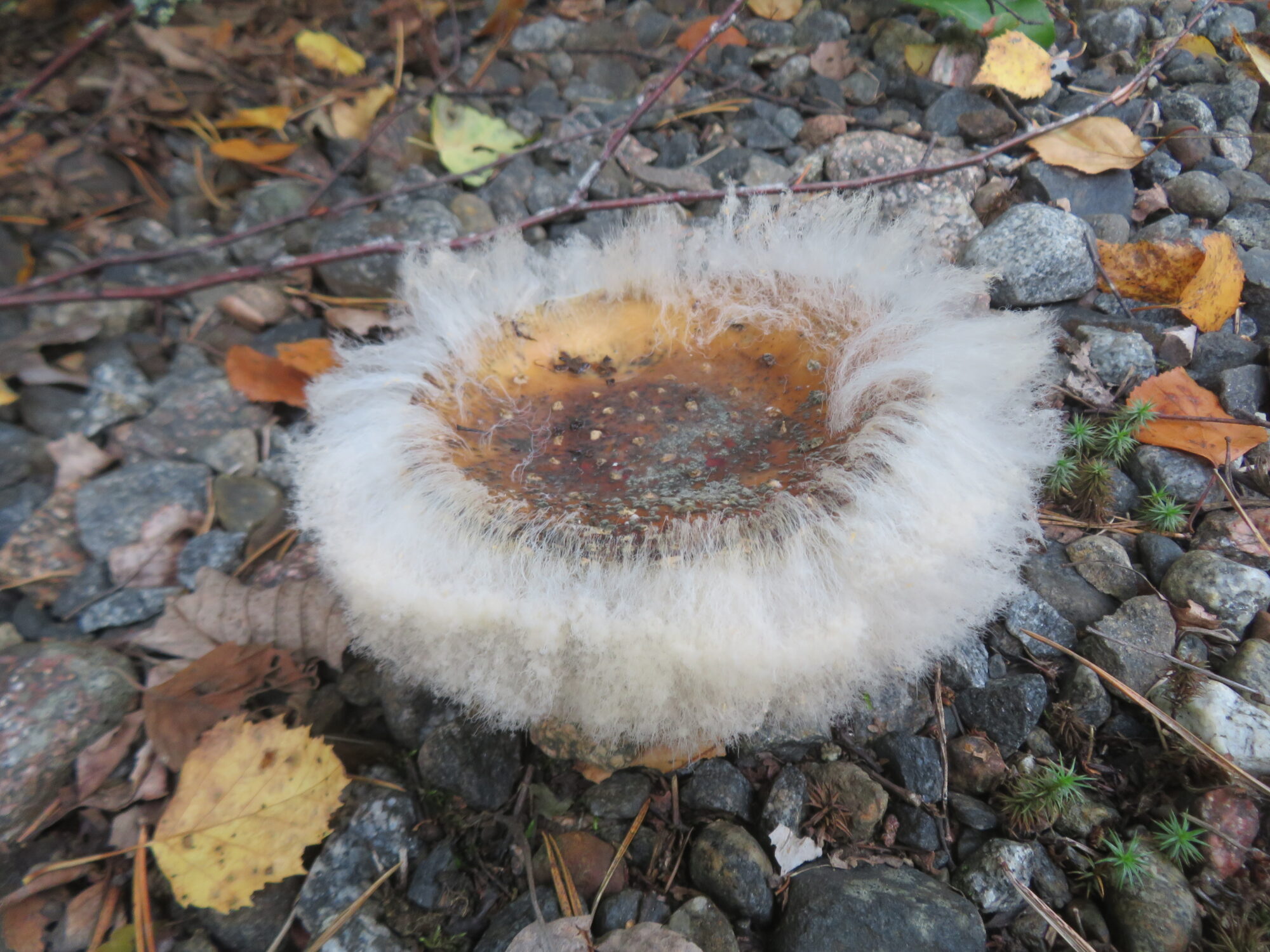 Valokuvaaja: Anja Santalahti