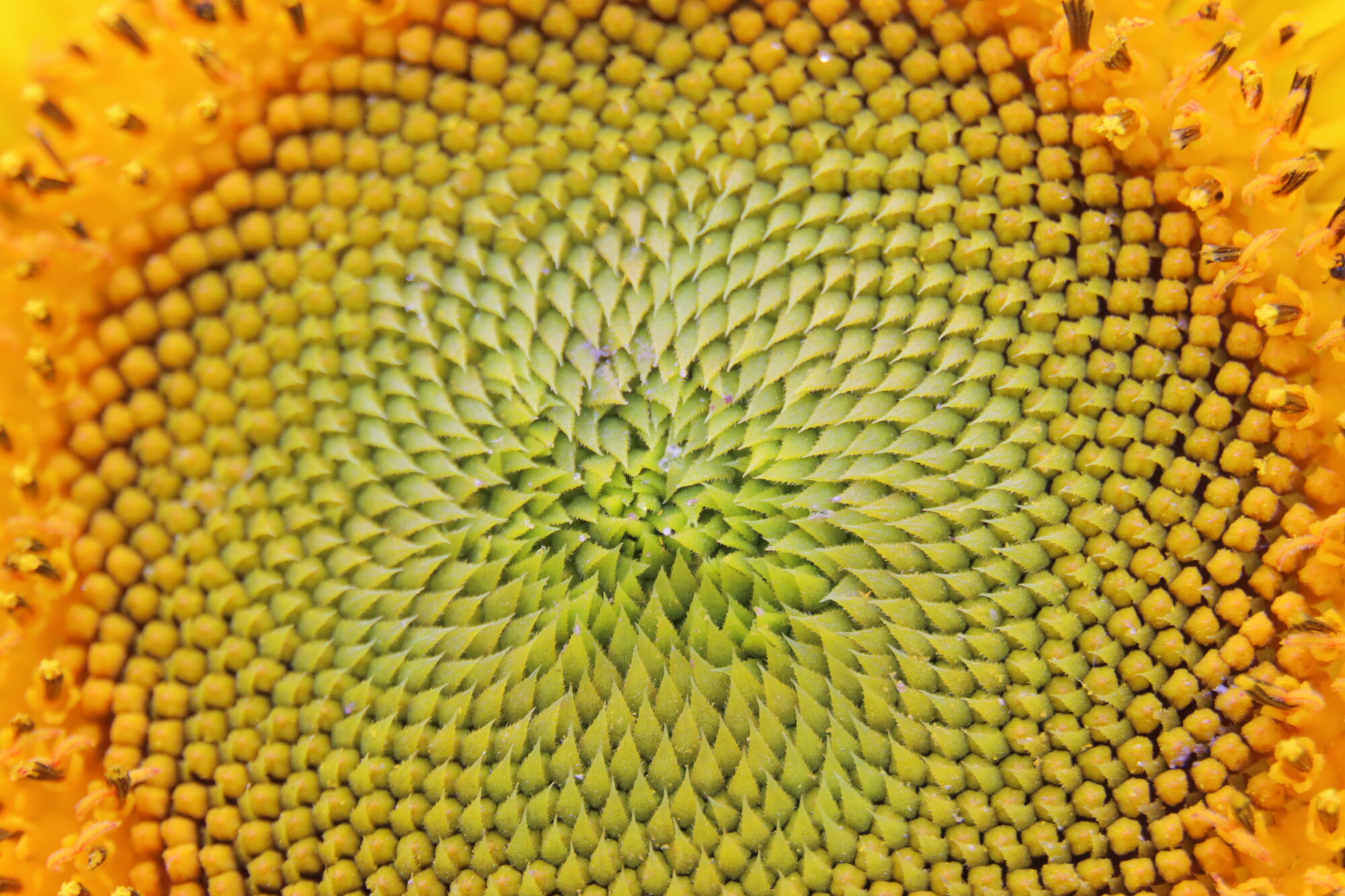 Valokuvaaja: Irja Lehtinen