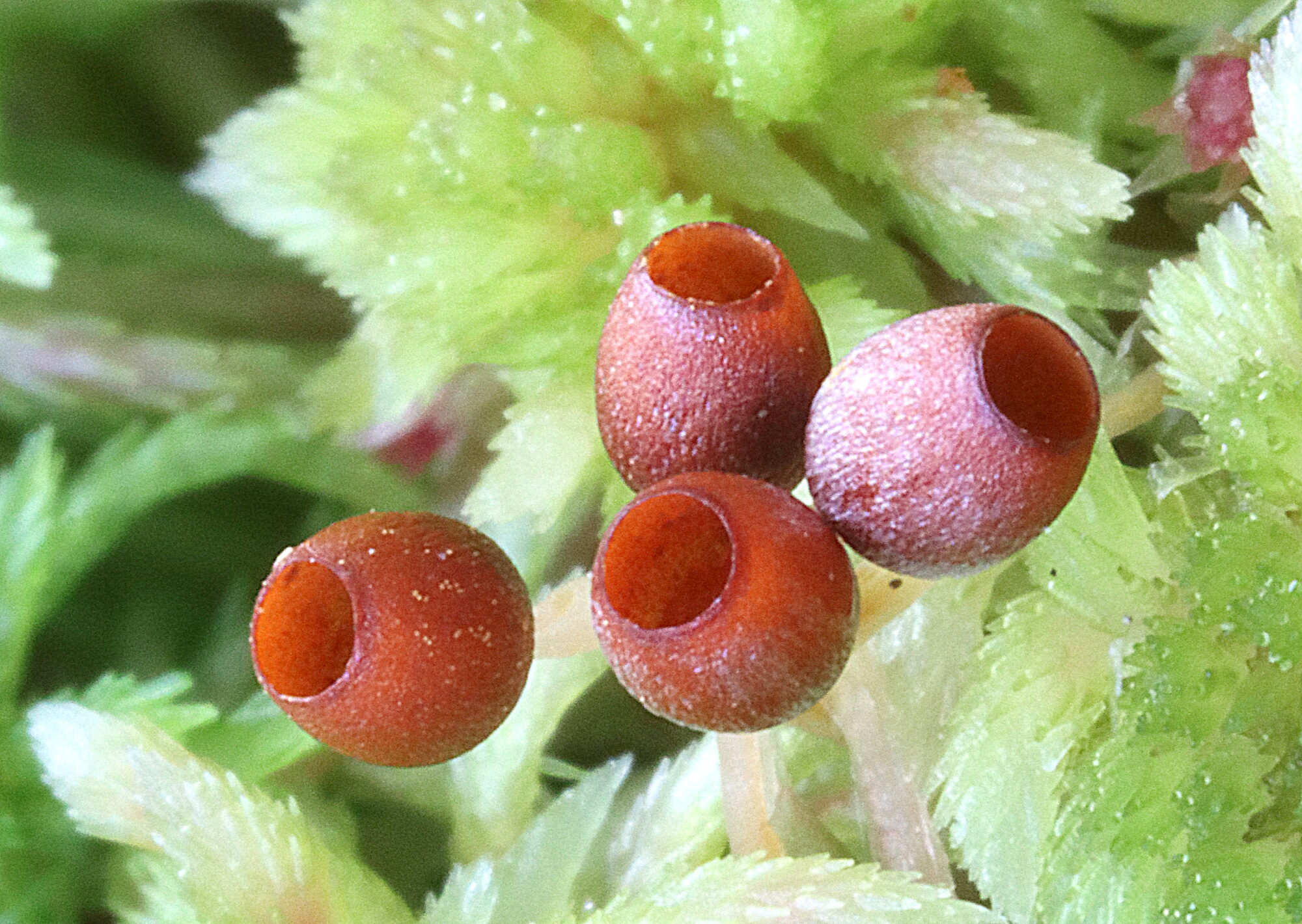 Valokuvaaja: Hannu Rasiranta