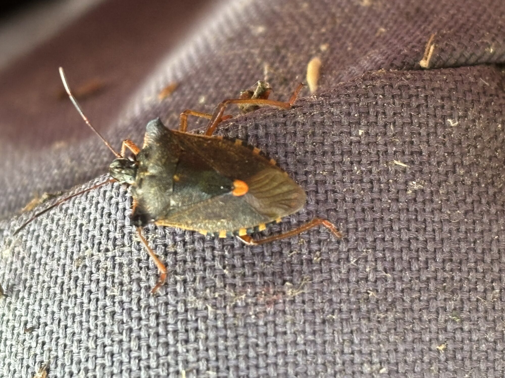 Valokuvaaja: Paula Pulli