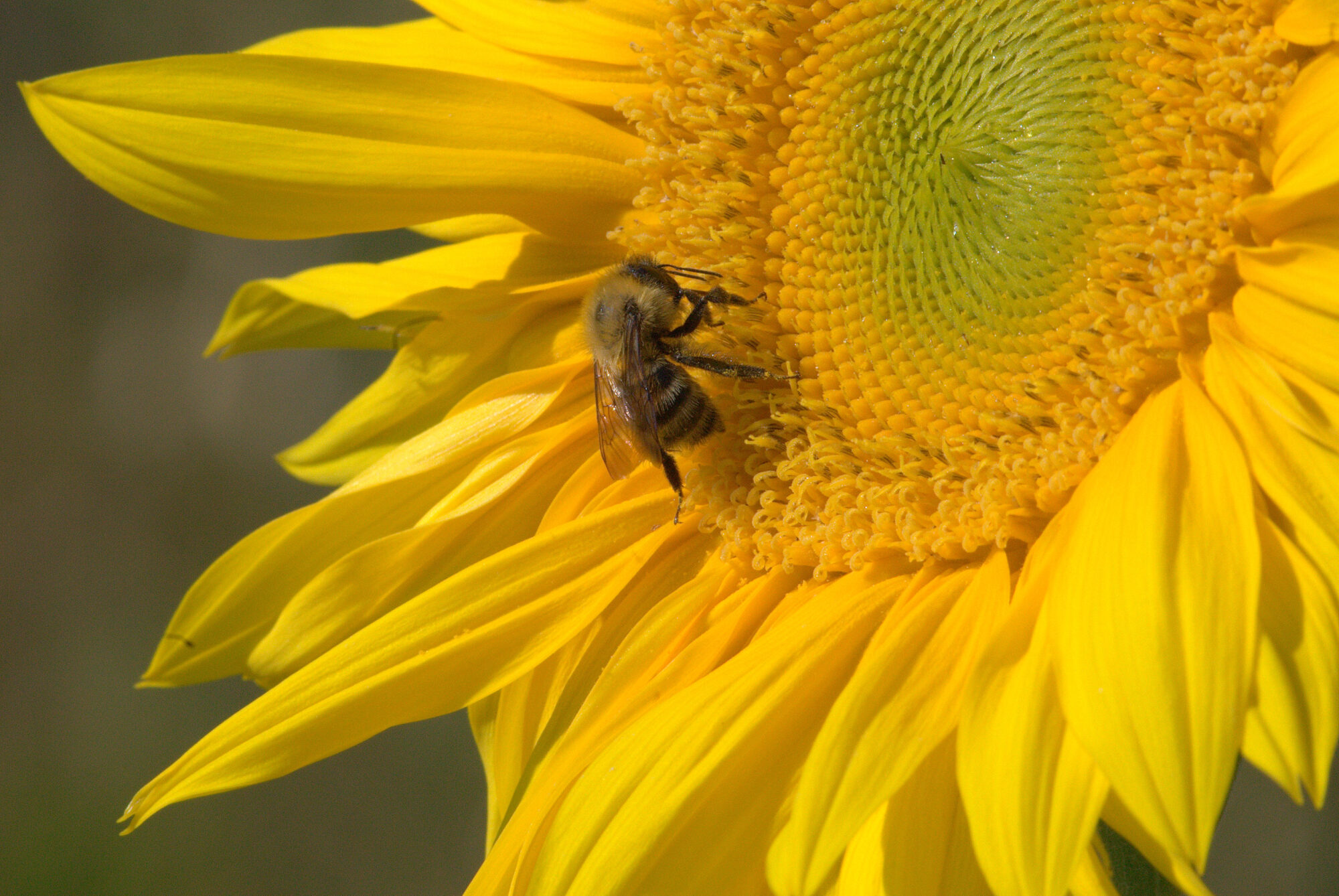 Valokuvaaja: tapio keinonen Valokuvaaja: tapio keinonen
