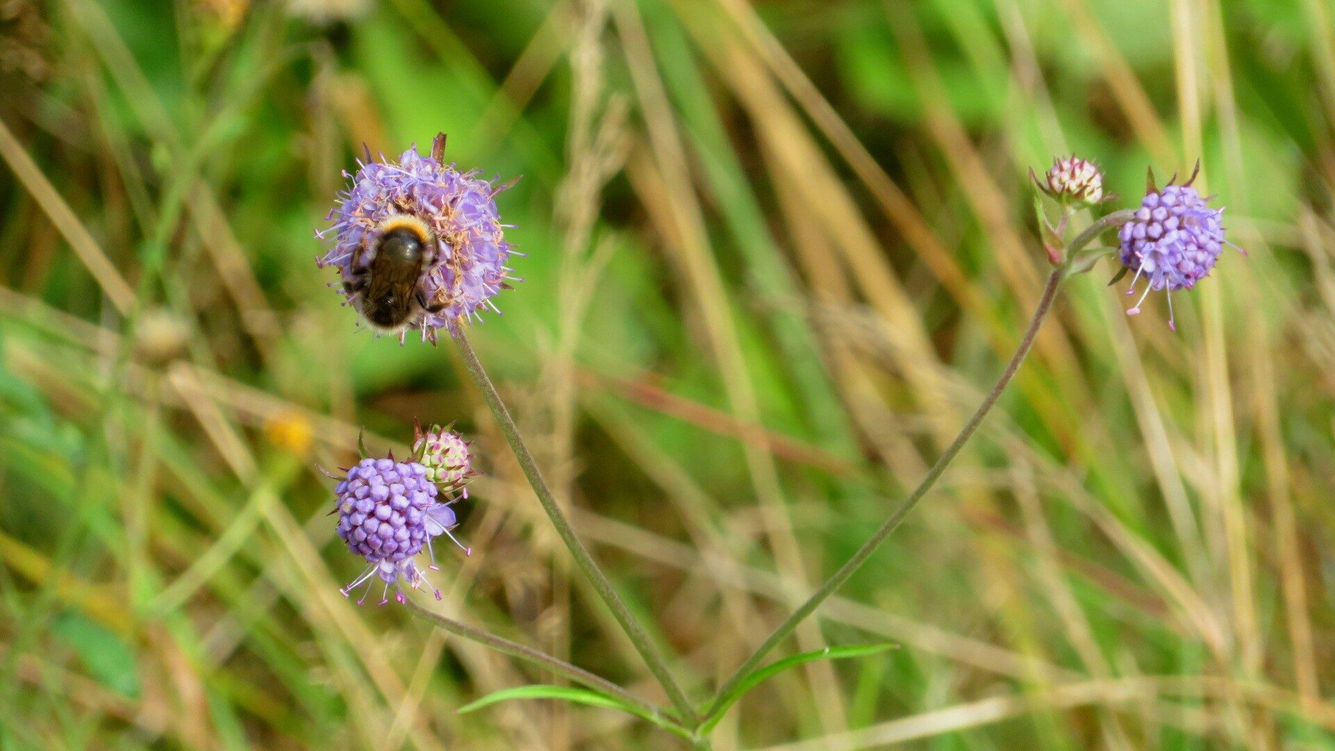 Valokuvaaja: Risto Kangassalo