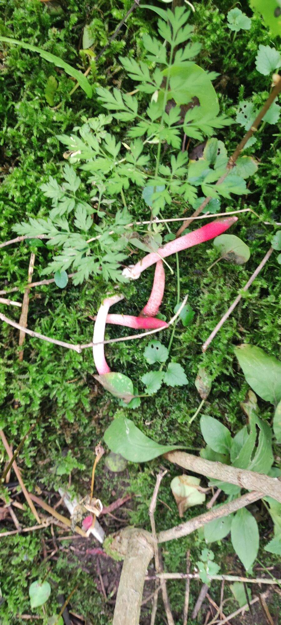 Valokuvaaja: Sari Hakala