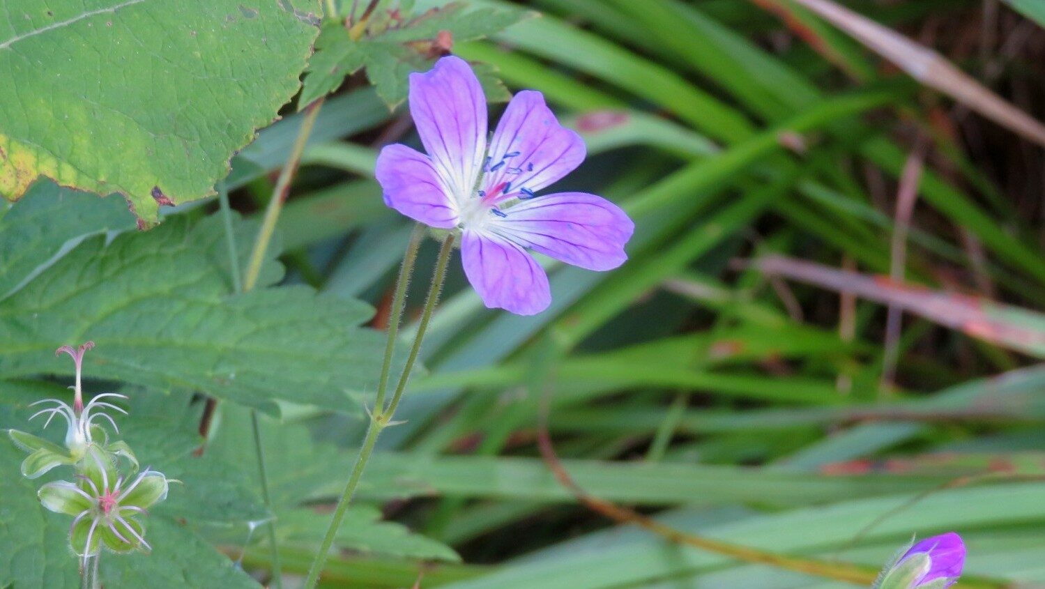 Valokuvaaja: Risto Kangassalo Valokuvaaja: Risto Kangassalo