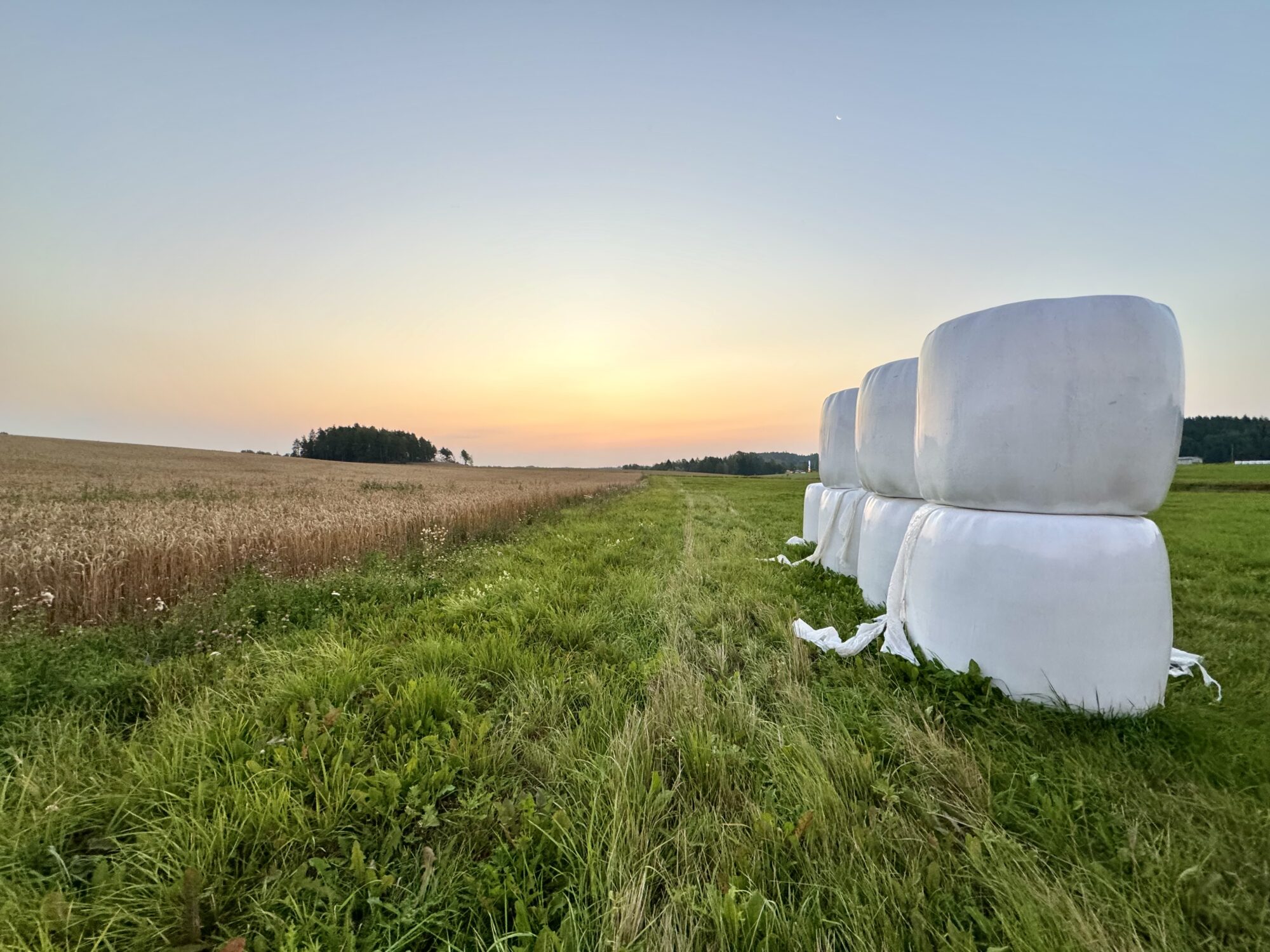 Valokuvaaja: Juhani Peltonen