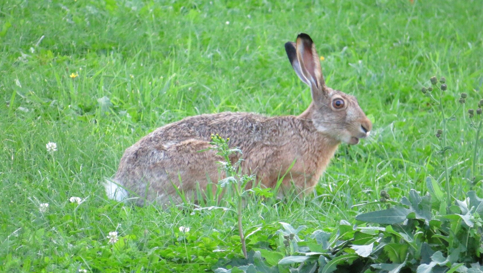 Valokuvaaja: Risto Kangassalo