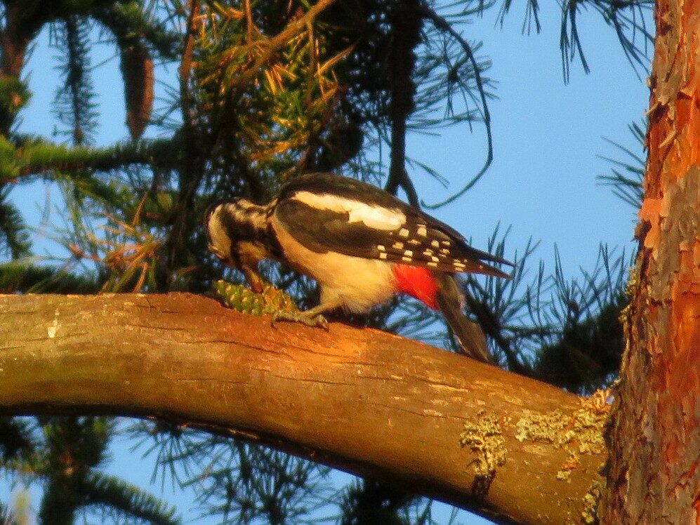 Valokuvaaja: Risto Kangassalo