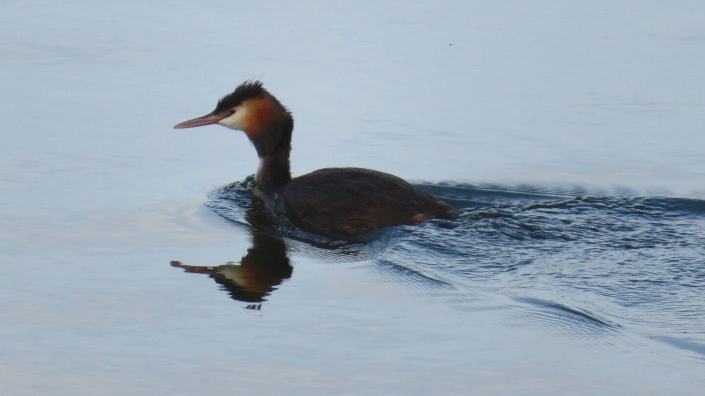 Valokuvaaja: Risto Kangassalo