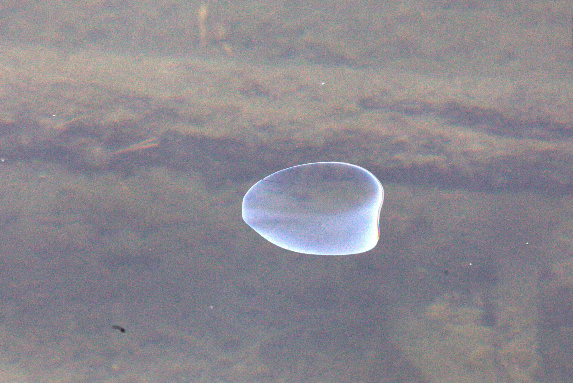 Valokuvaaja: tapio keinonen