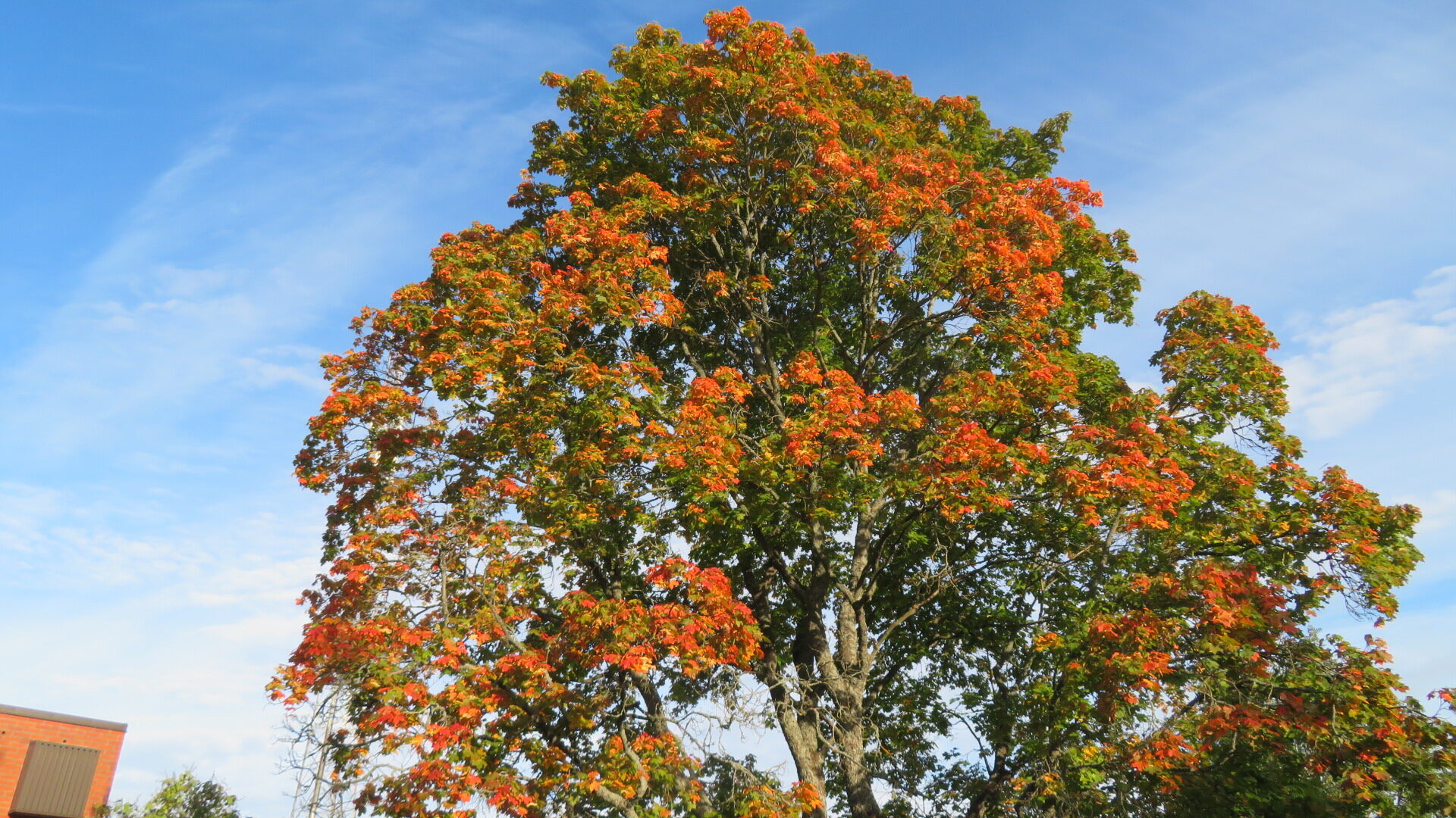 Valokuvaaja: Risto Kangassalo Valokuvaaja: Risto Kangassalo