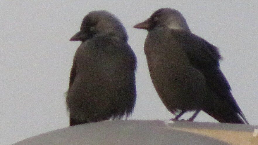 Valokuvaaja: Risto Kangassalo