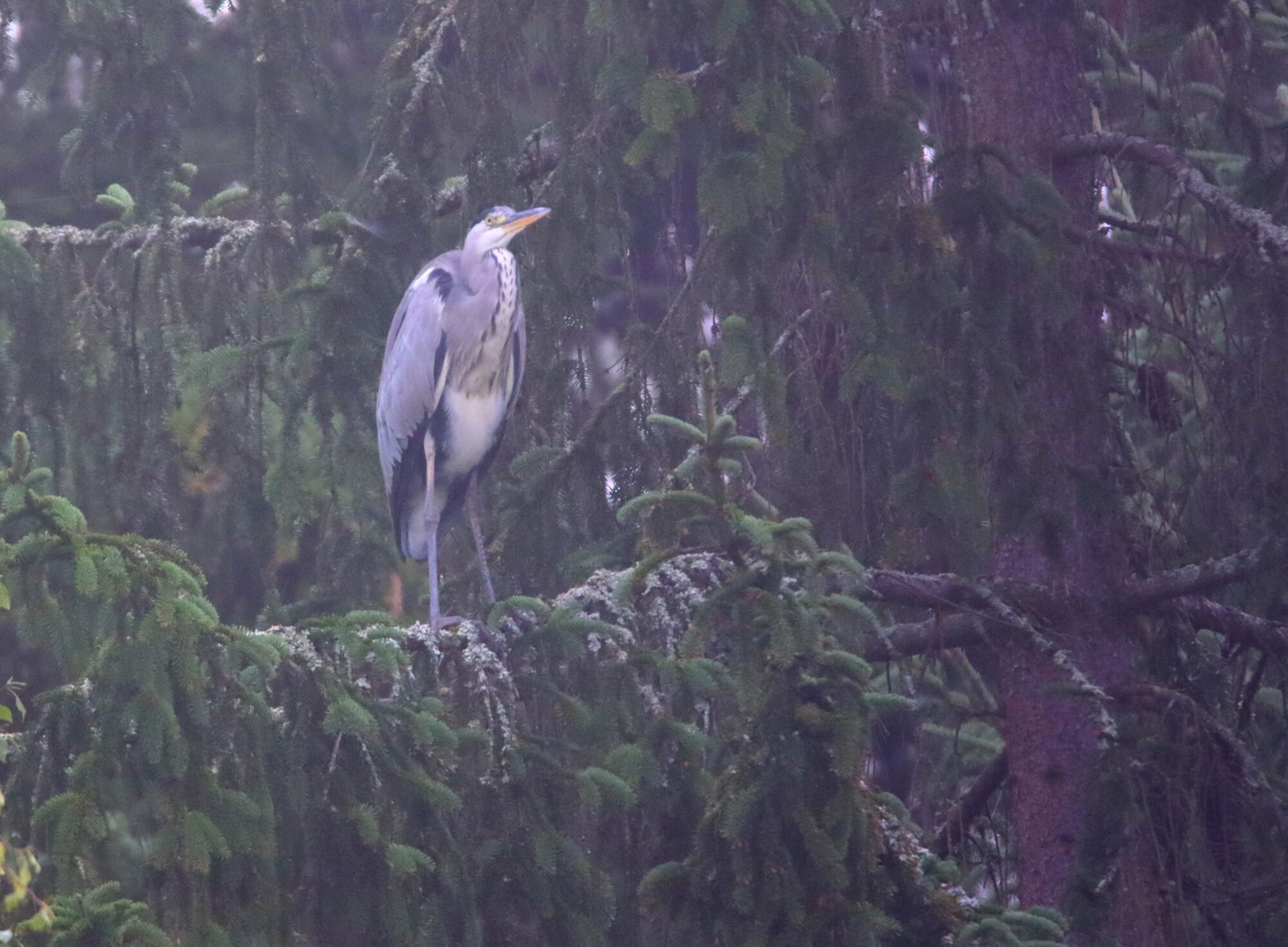 Valokuvaaja: Irja Lehtinen