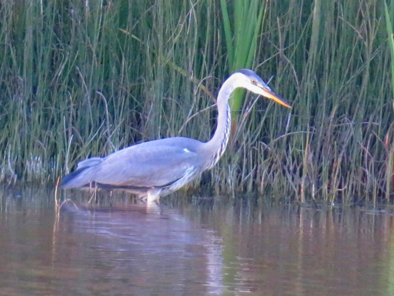 Valokuvaaja: Risto Kangassalo