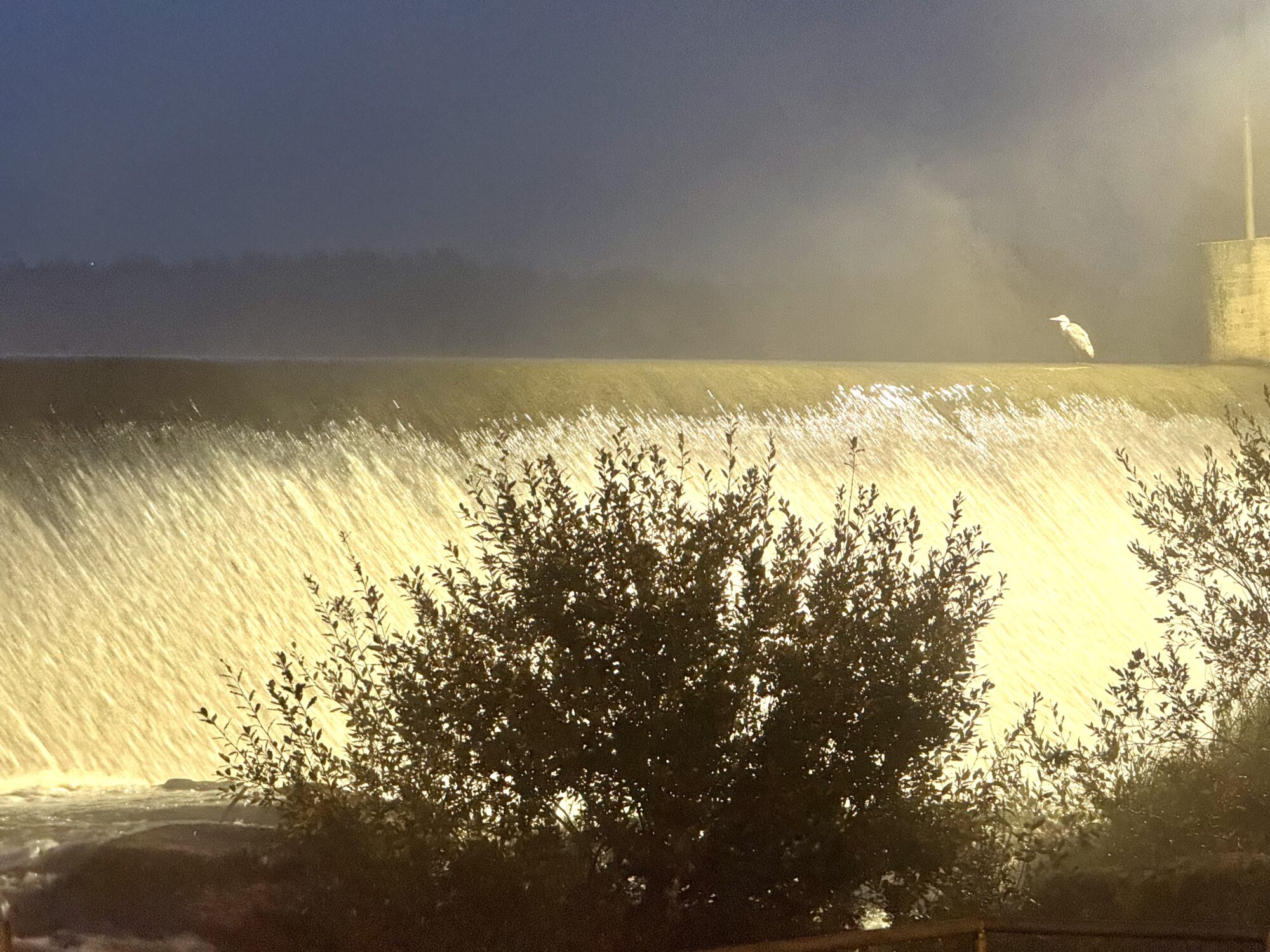 Valokuvaaja: Juhani Peltonen