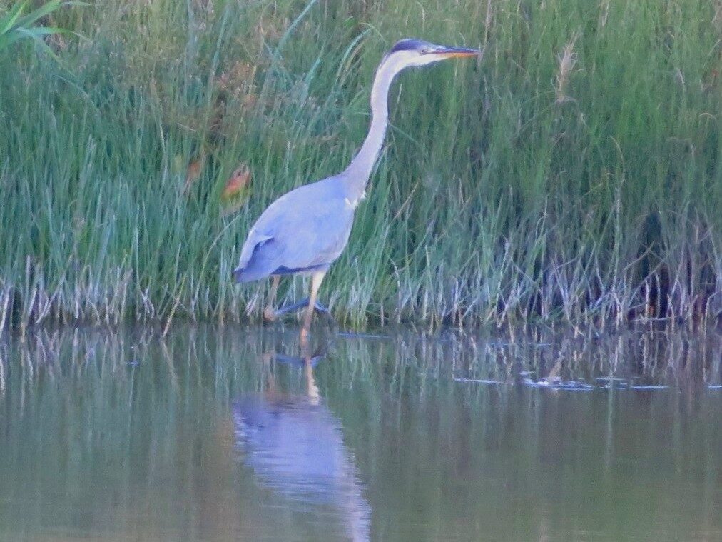 Valokuvaaja: Risto Kangassalo