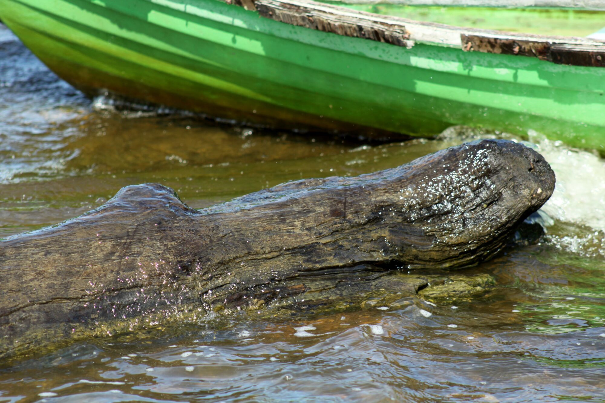 Valokuvaaja: Pirkko Siukonen Valokuvaaja: Pirkko Siukonen