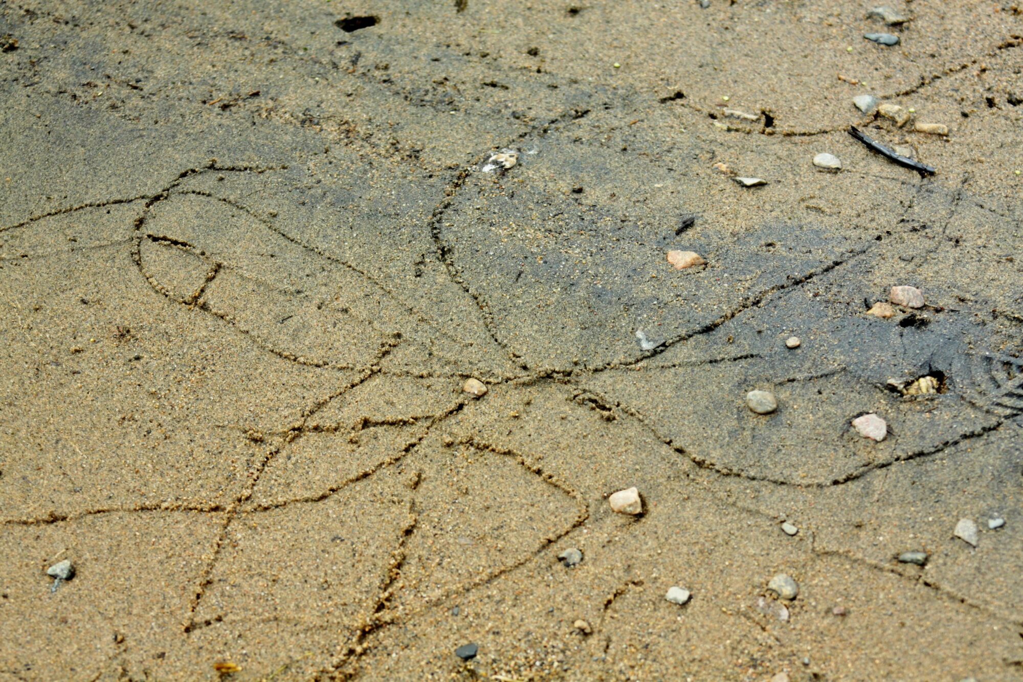 Valokuvaaja: Pirkko Siukonen