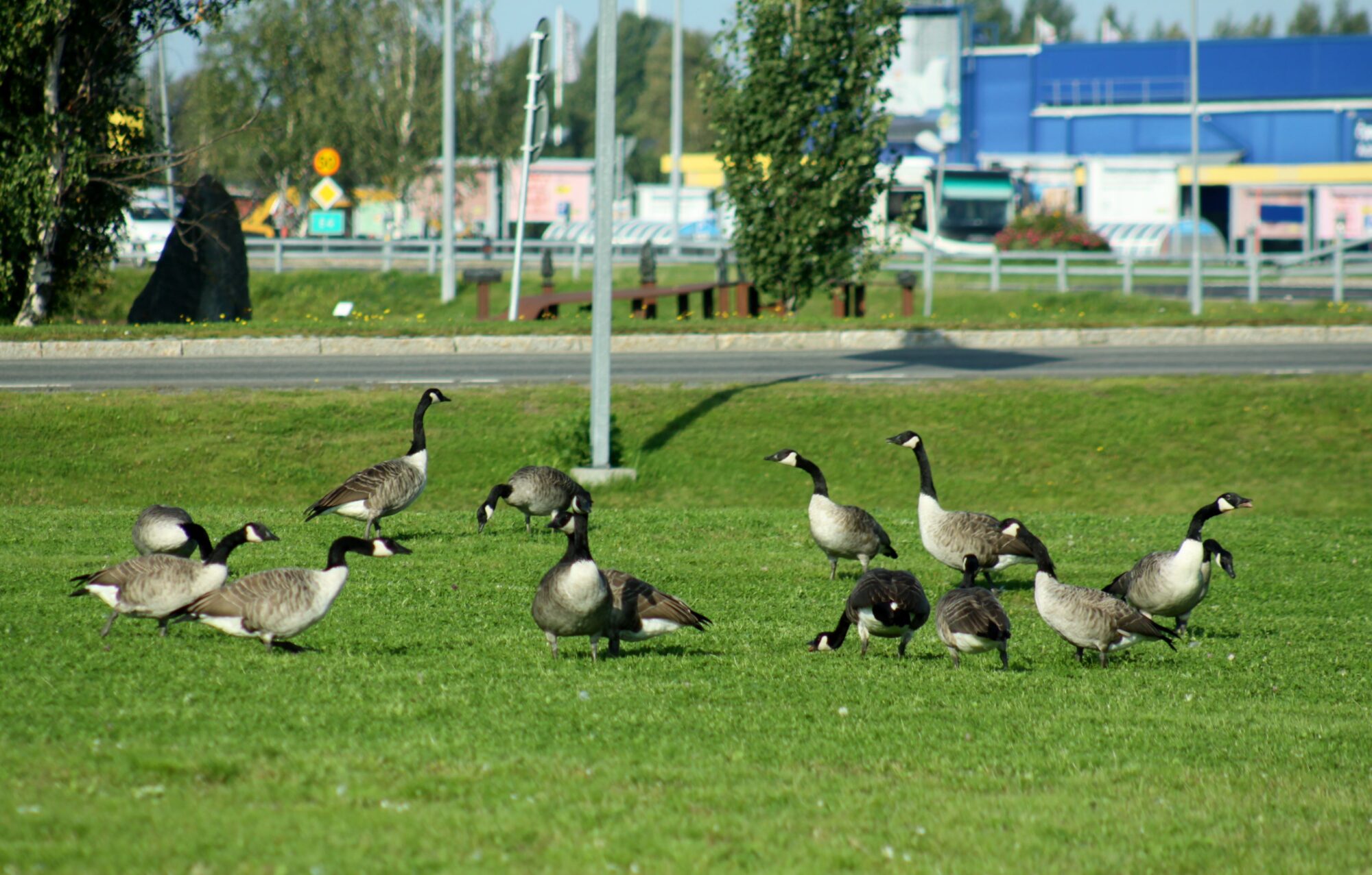 Valokuvaaja: Pirkko Siukonen