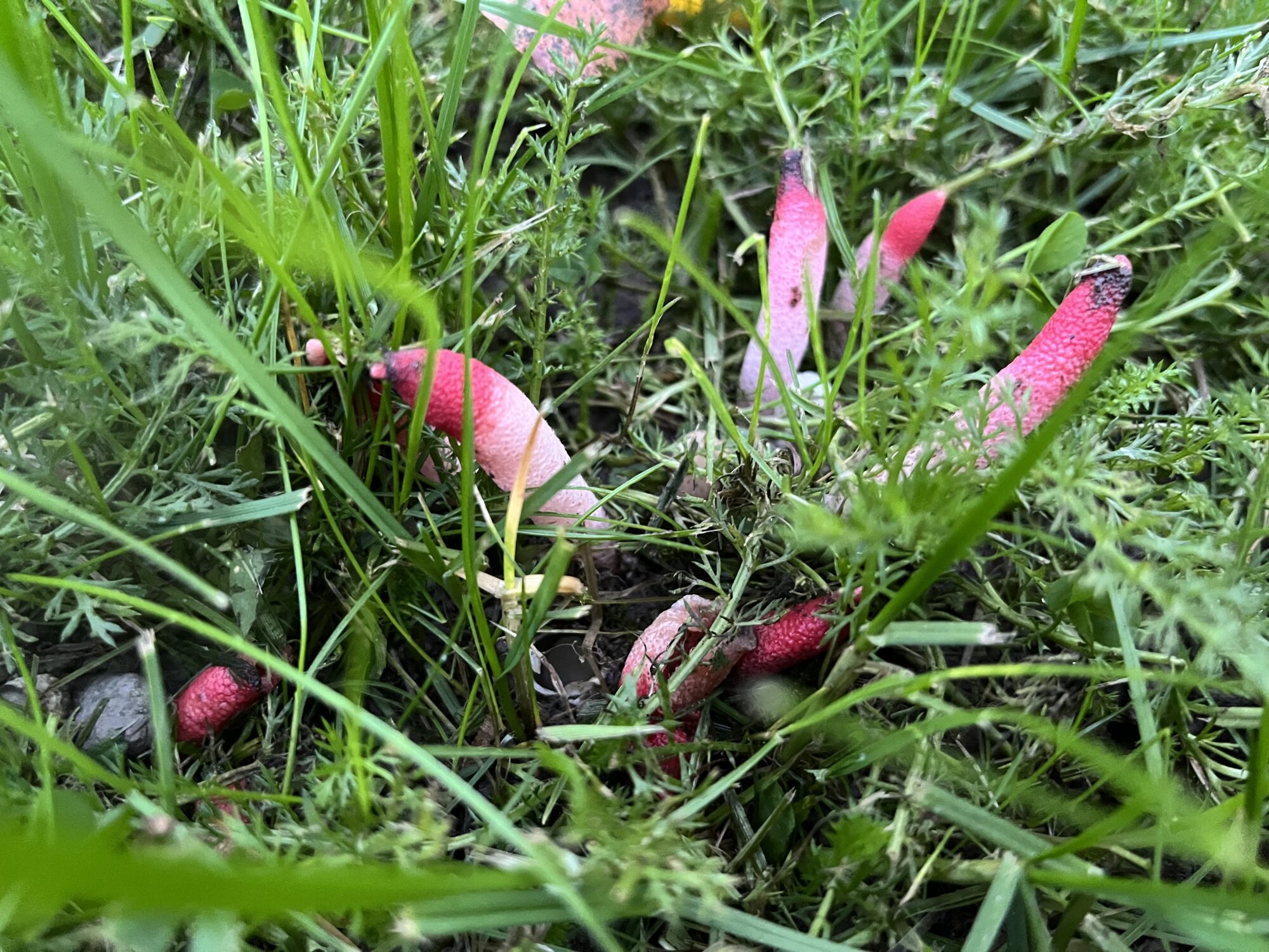 Valokuvaaja: Reija Ristimäki