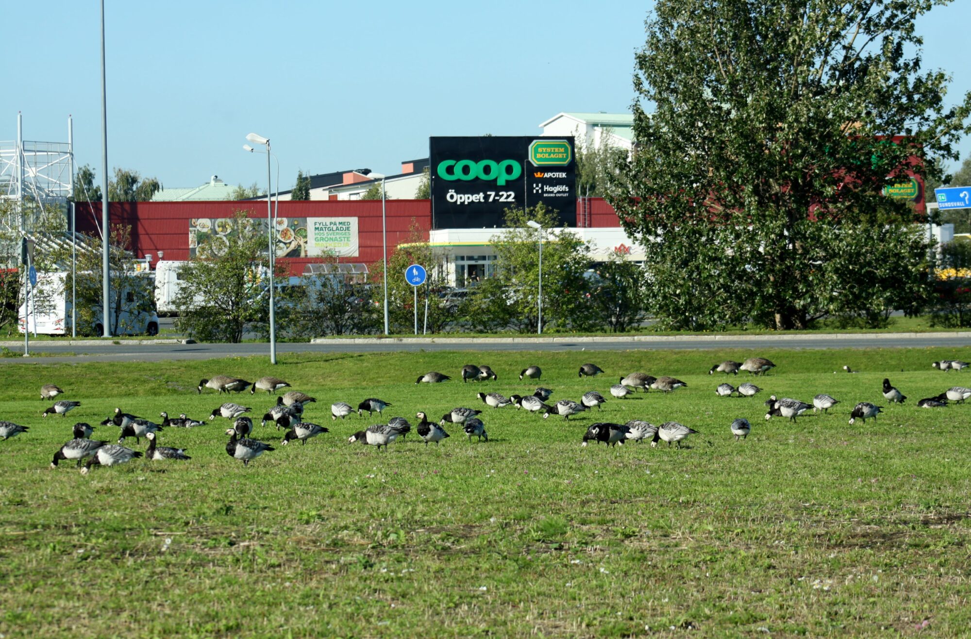 Valokuvaaja: Pirkko Siukonen