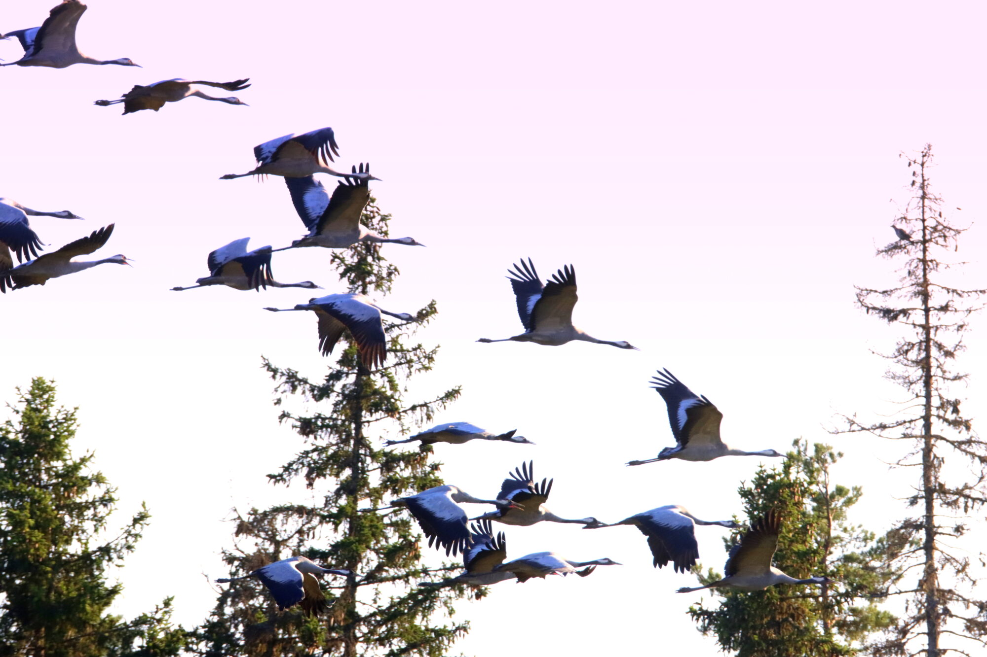 Valokuvaaja: Irja Lehtinen