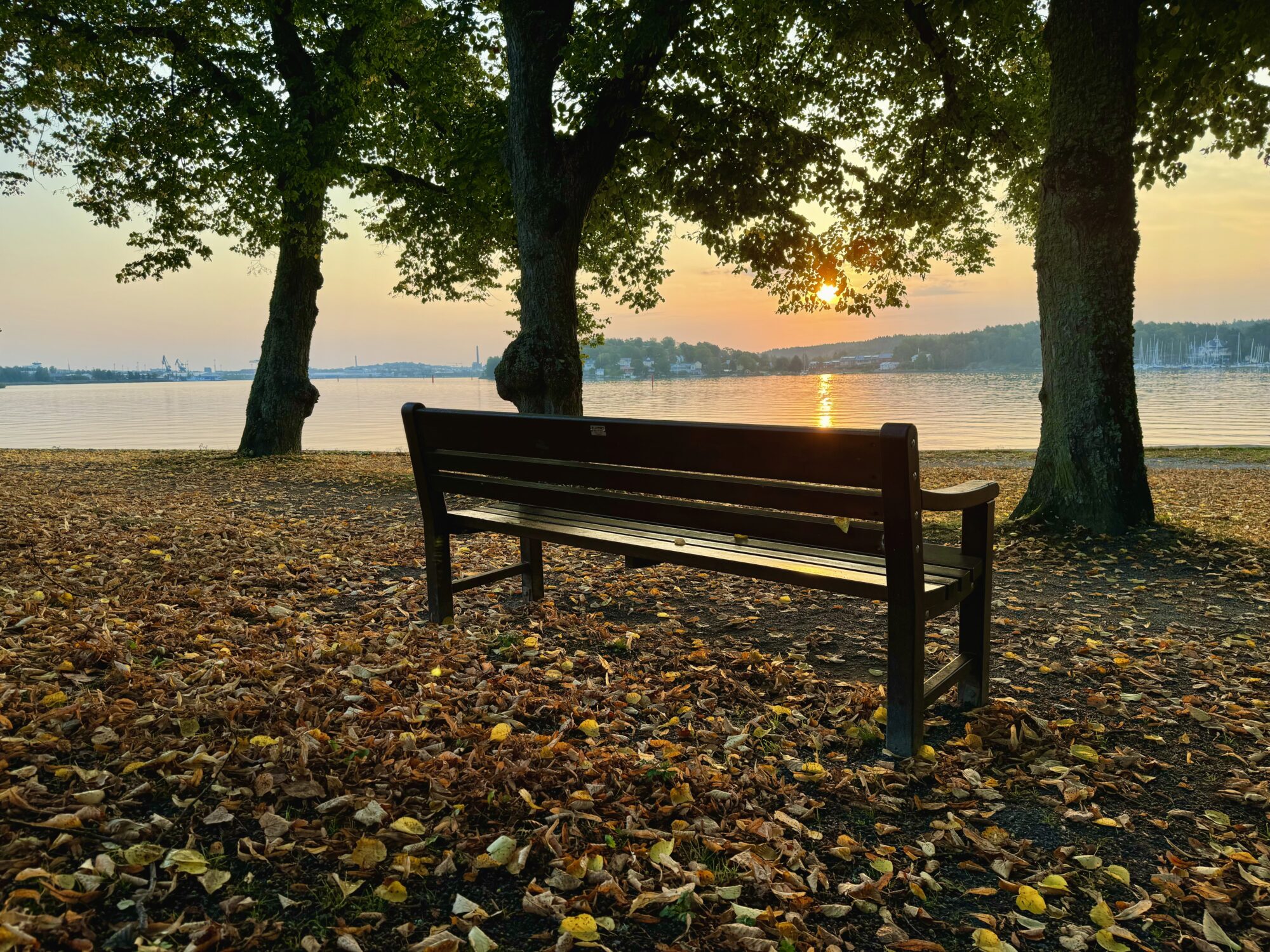 Valokuvaaja: Juhani Peltonen Valokuvaaja: Juhani Peltonen
