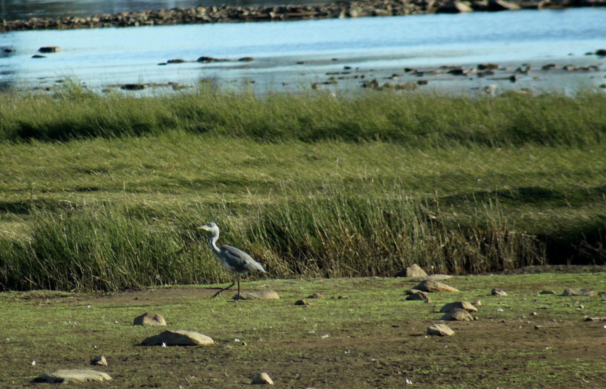 Valokuvaaja: Pirkko Siukonen