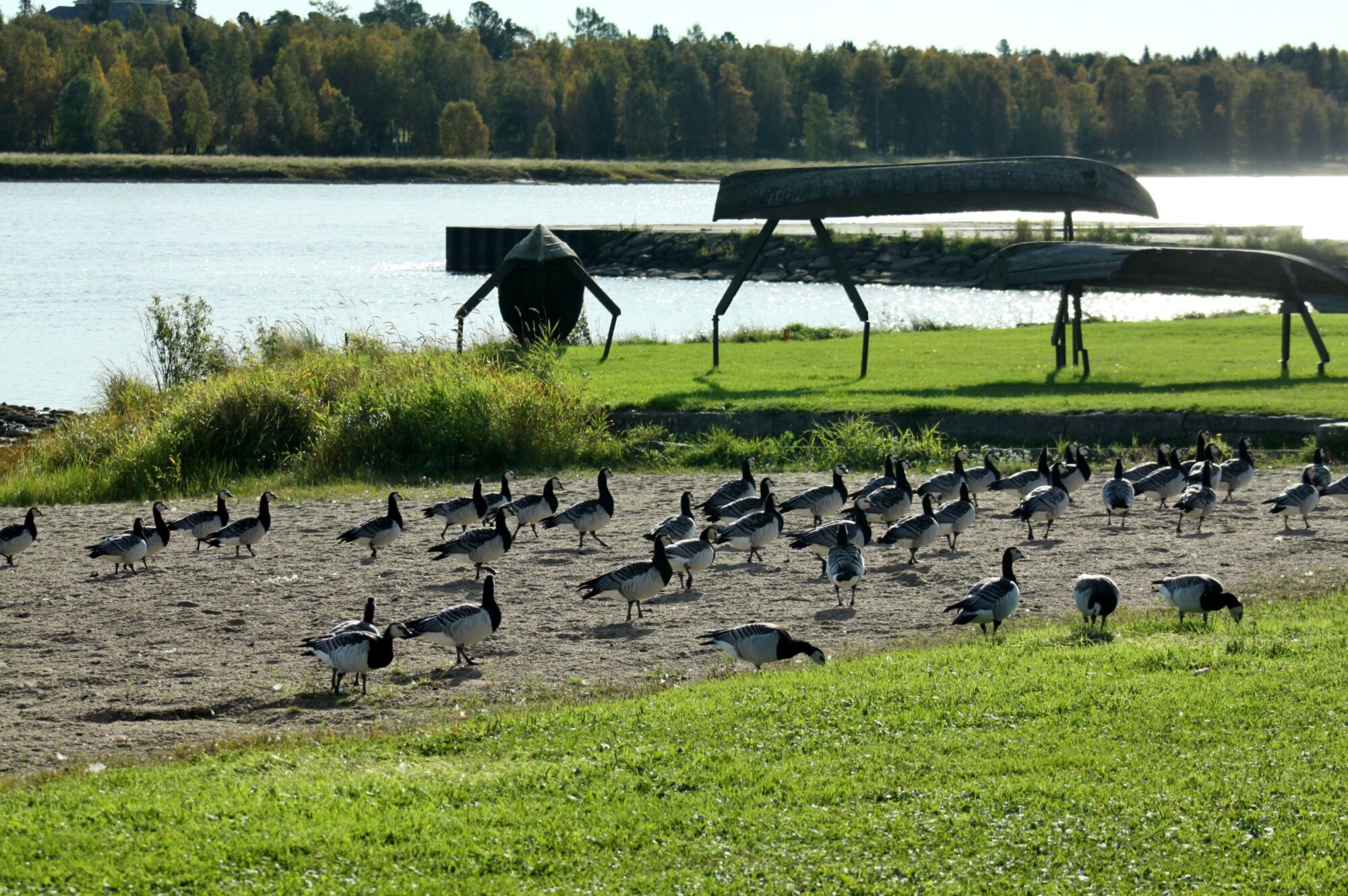 Valokuvaaja: Pirkko Siukonen Valokuvaaja: Pirkko Siukonen
