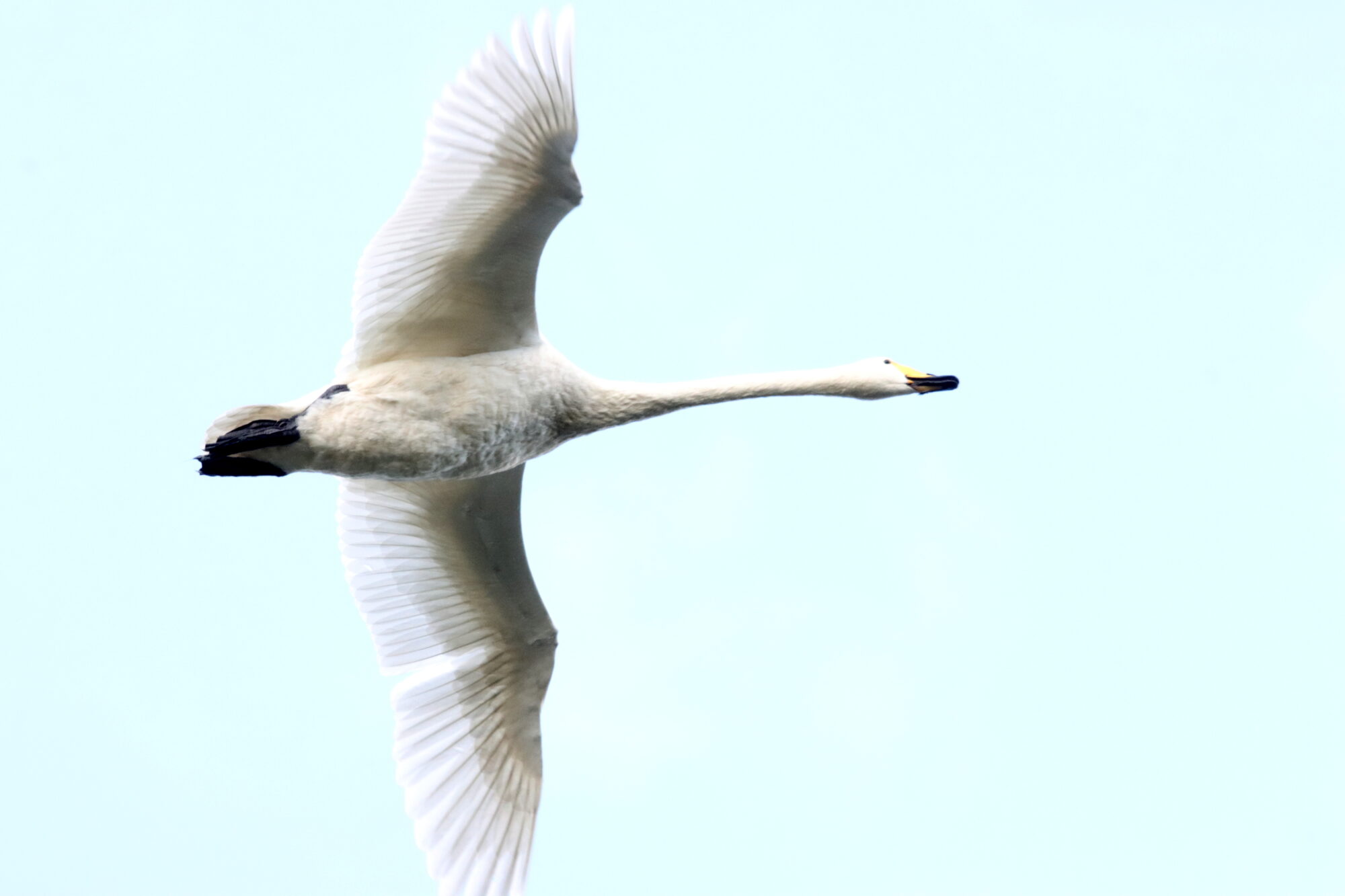 Valokuvaaja: Irja Lehtinen