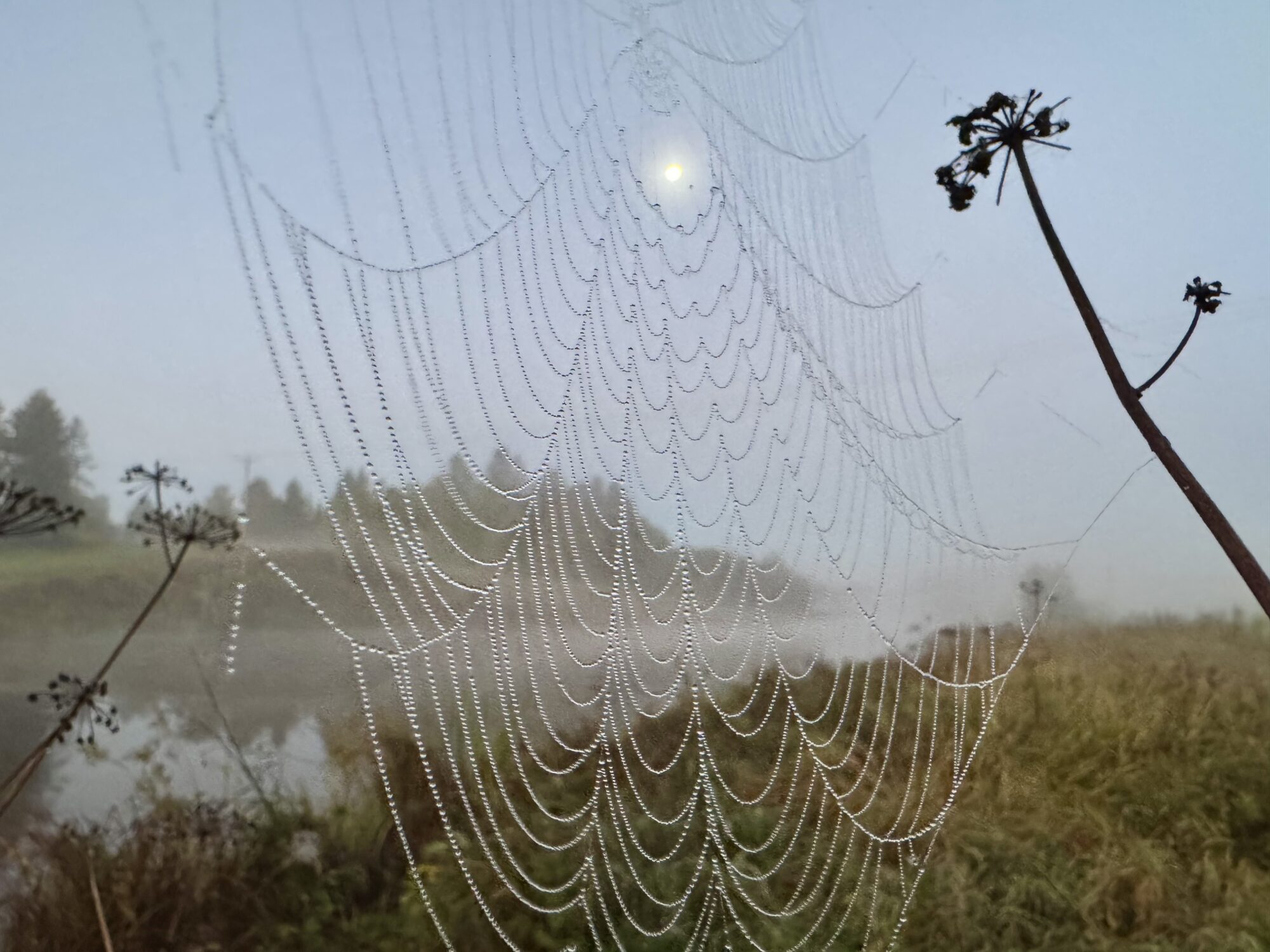 Valokuvaaja: Juhani Peltonen