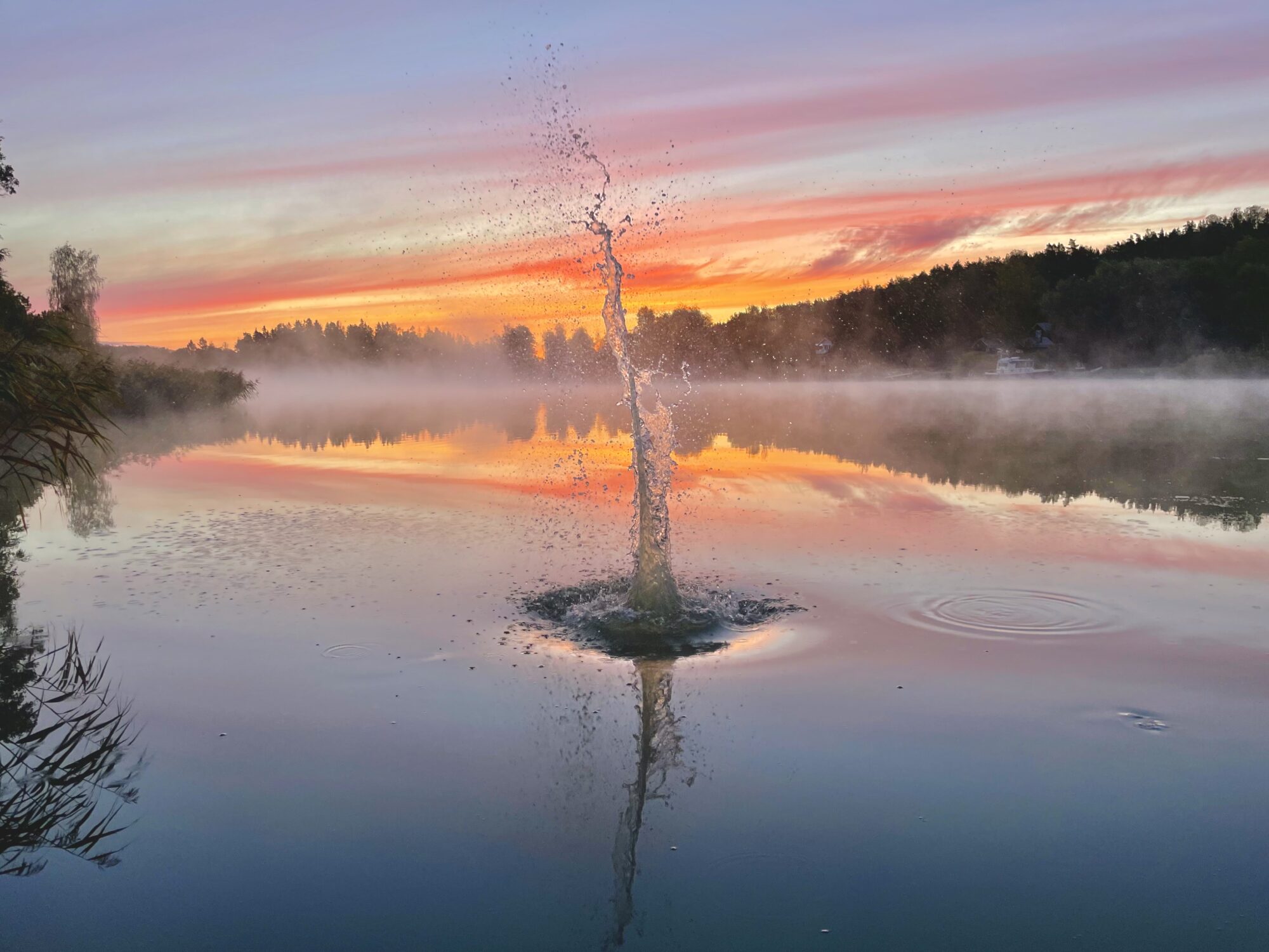 Valokuvaaja: Juhani Peltonen