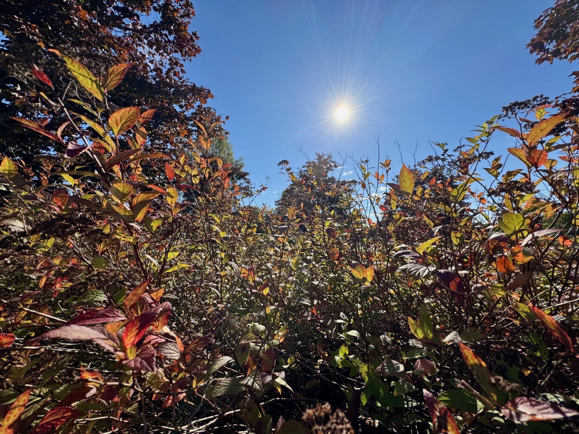 Valokuvaaja: Juhani Peltonen Valokuvaaja: Juhani Peltonen