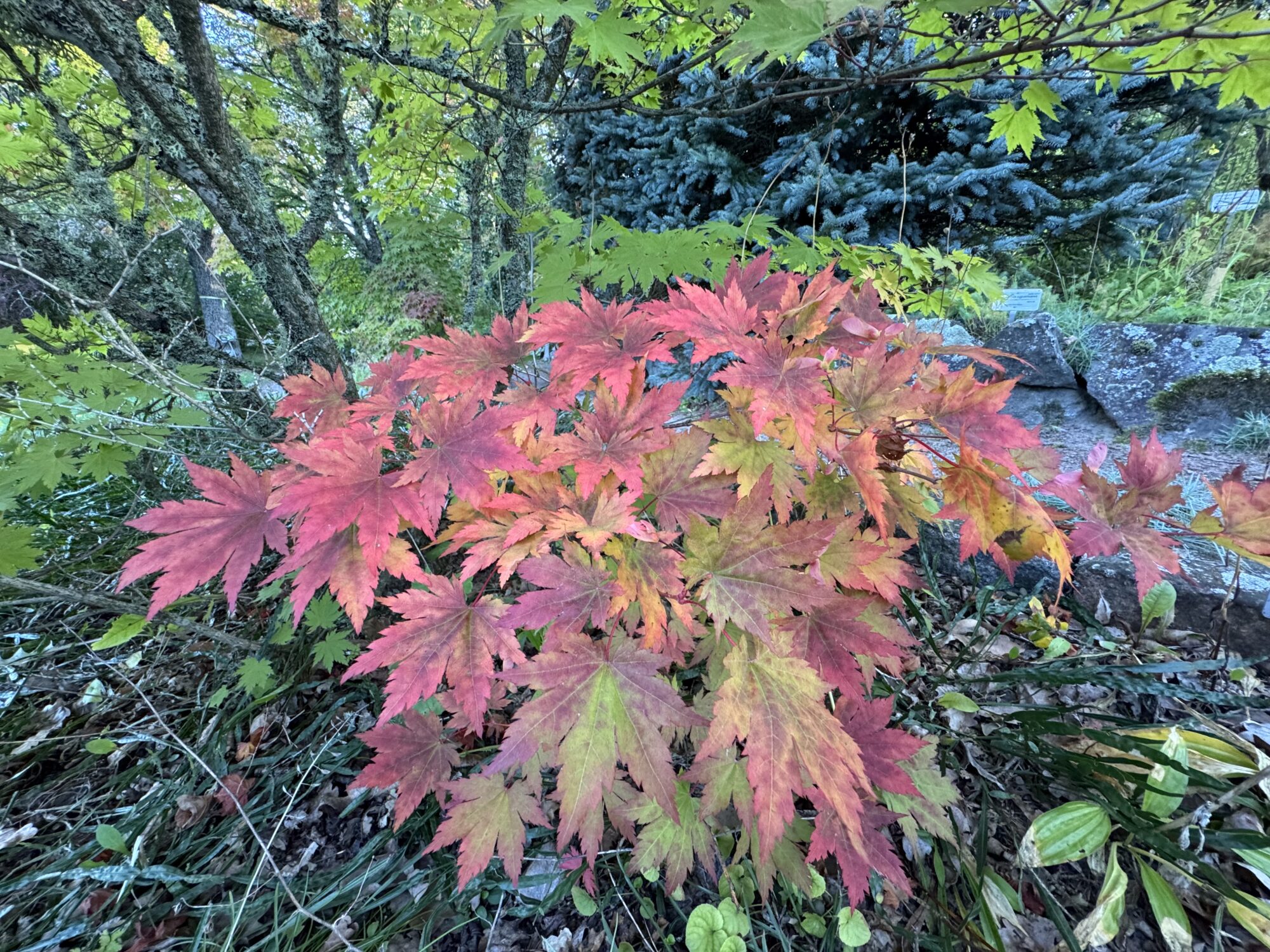 Valokuvaaja: Juhani Peltonen Valokuvaaja: Juhani Peltonen