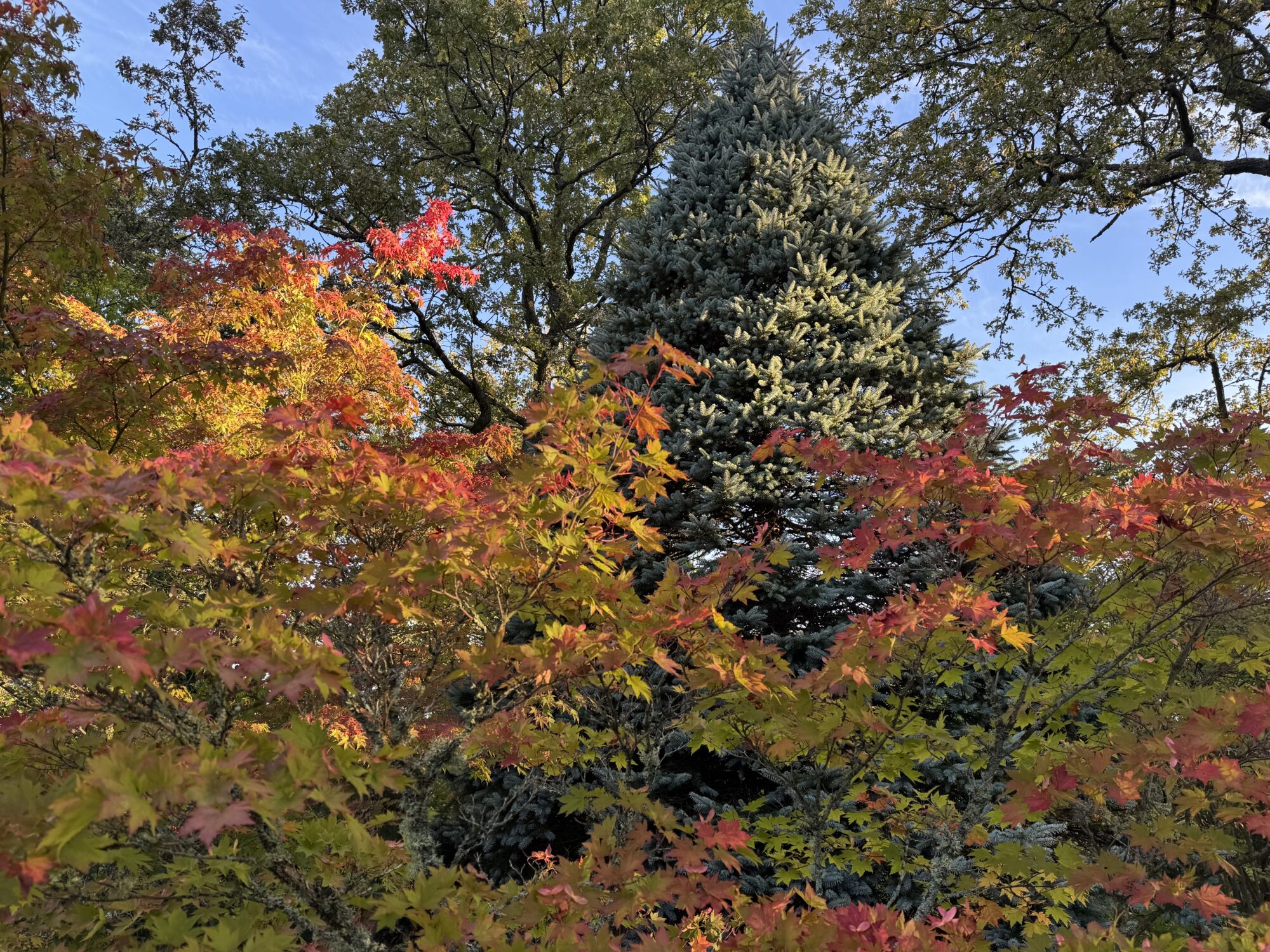 Valokuvaaja: Juhani Peltonen Valokuvaaja: Juhani Peltonen
