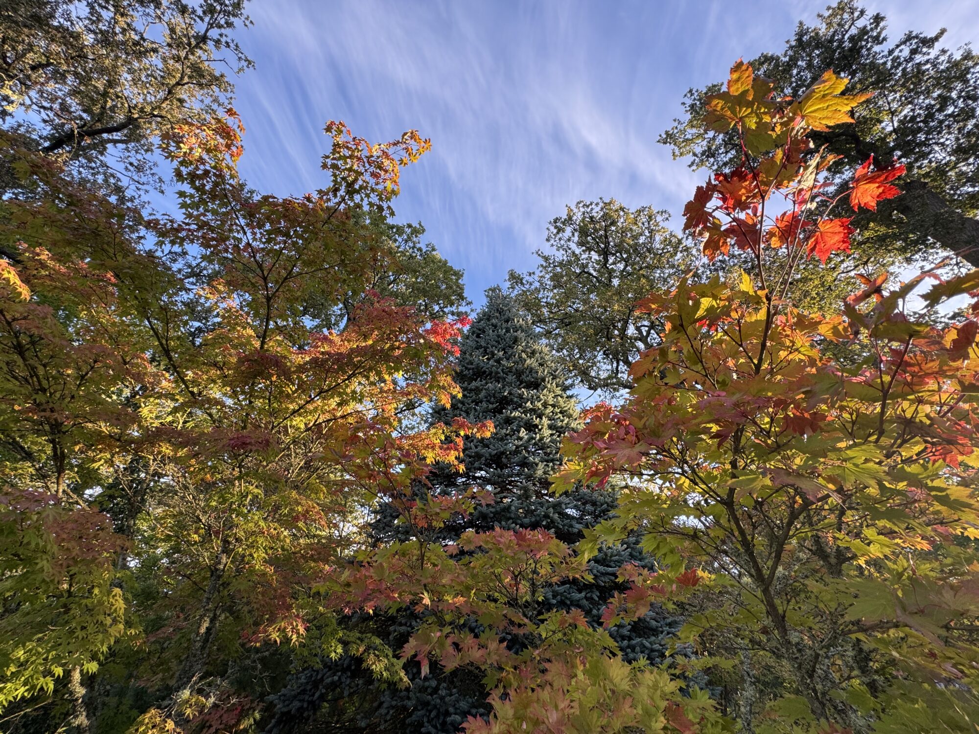 Valokuvaaja: Juhani Peltonen