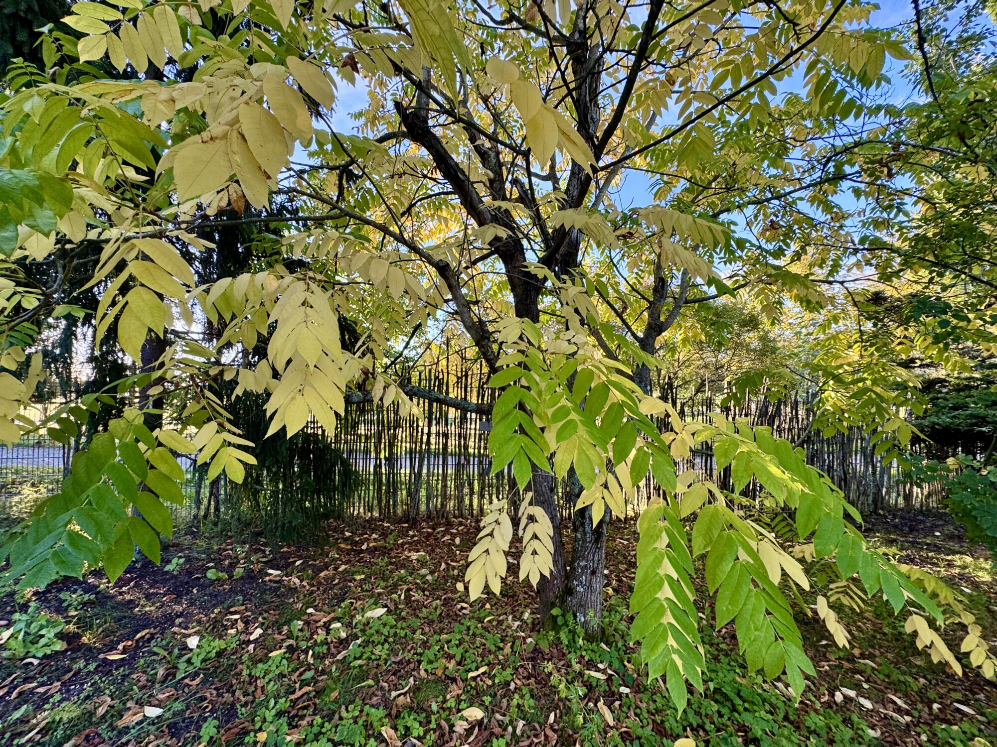 Valokuvaaja: Juhani Peltonen
