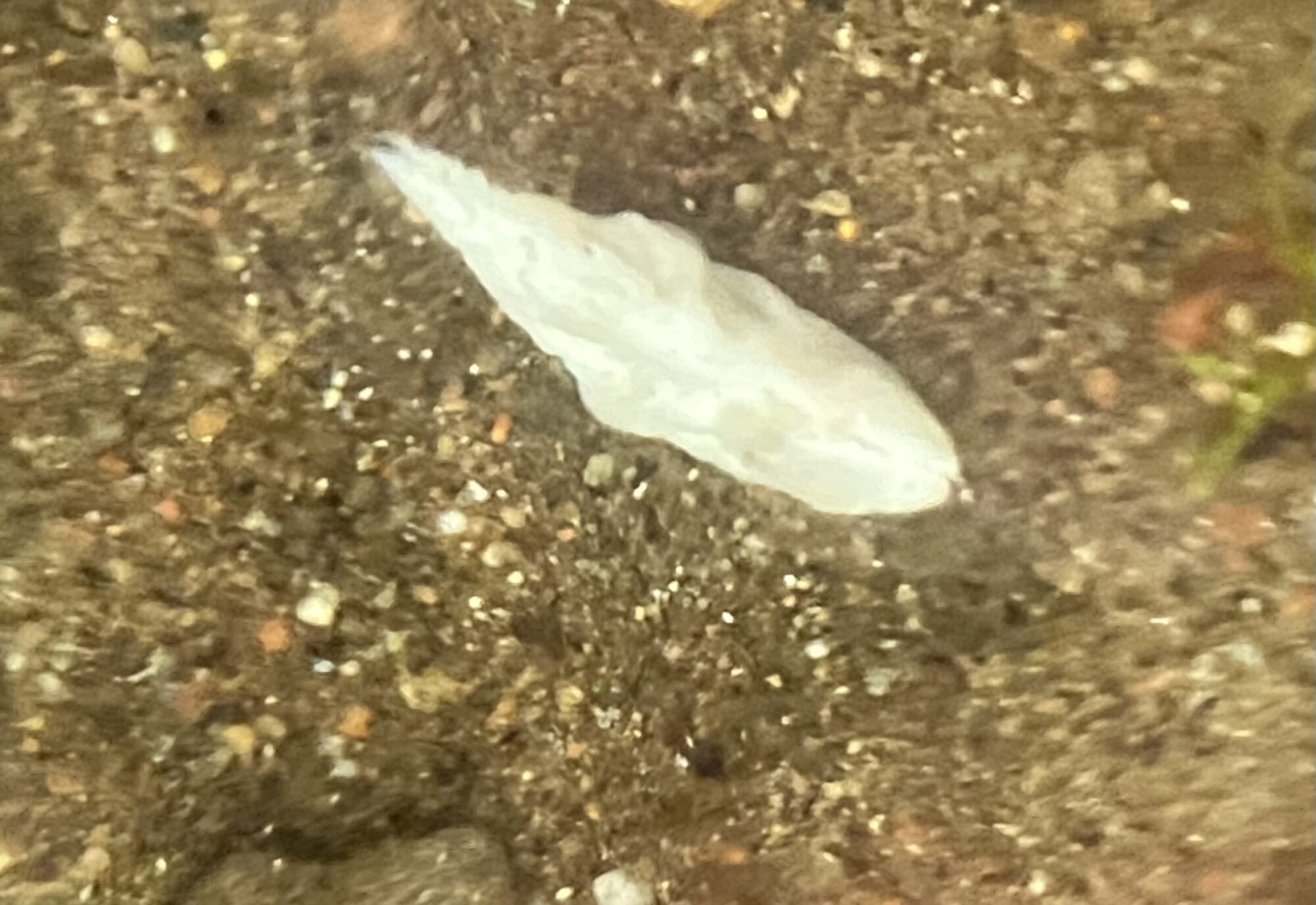 Valokuvaaja: Sirpa Heikkinen