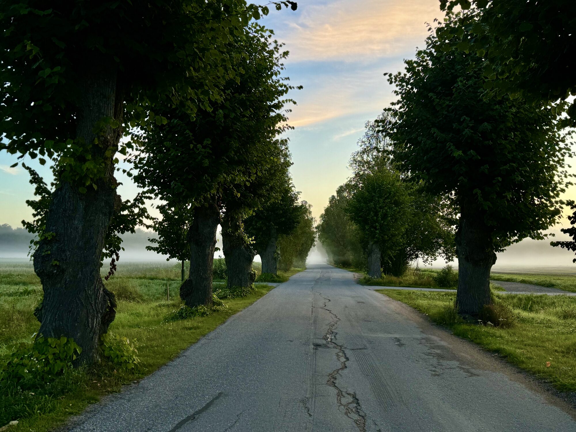 Valokuvaaja: Juhani Peltonen