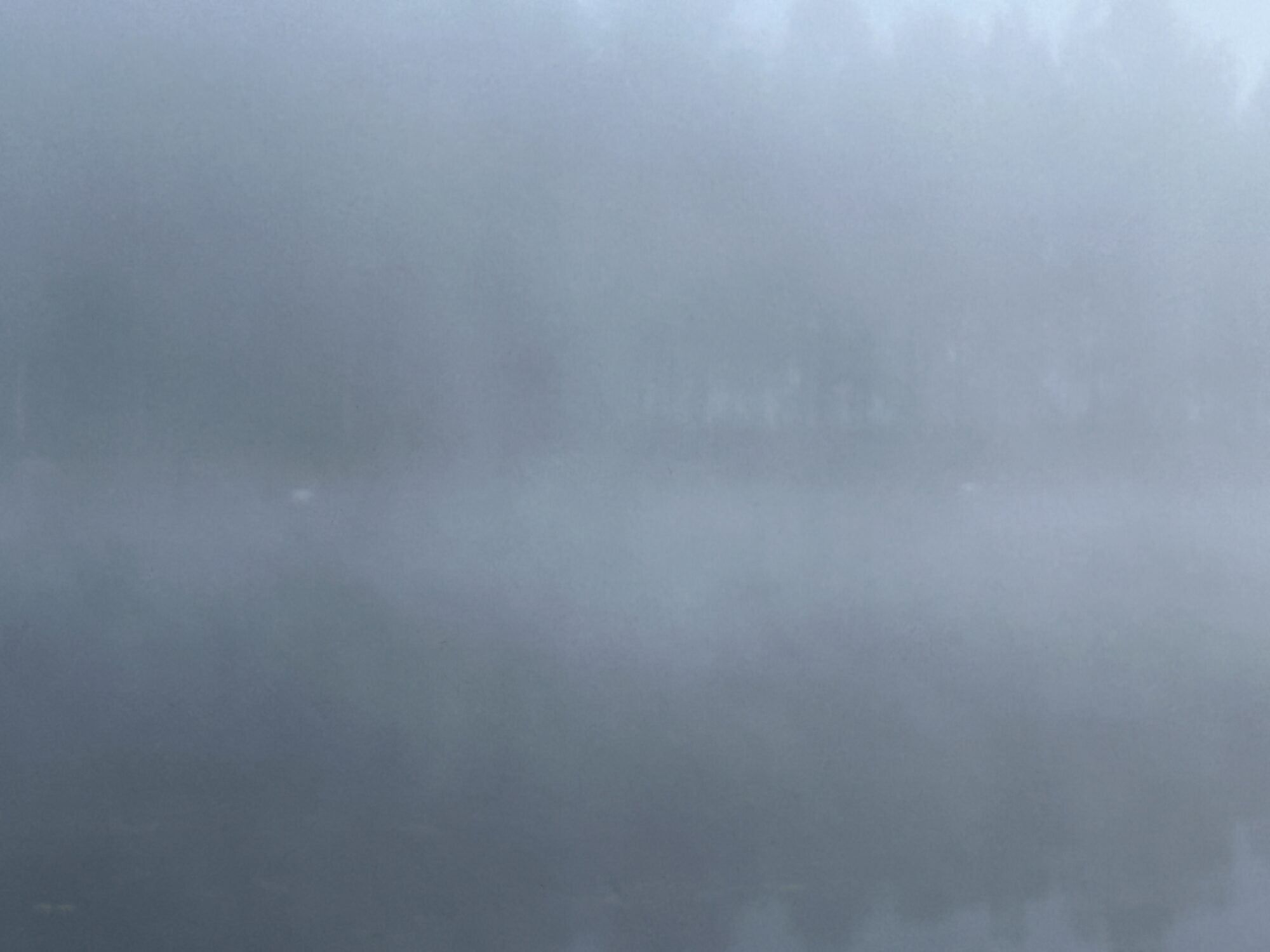 Valokuvaaja: Tapio Keinonen