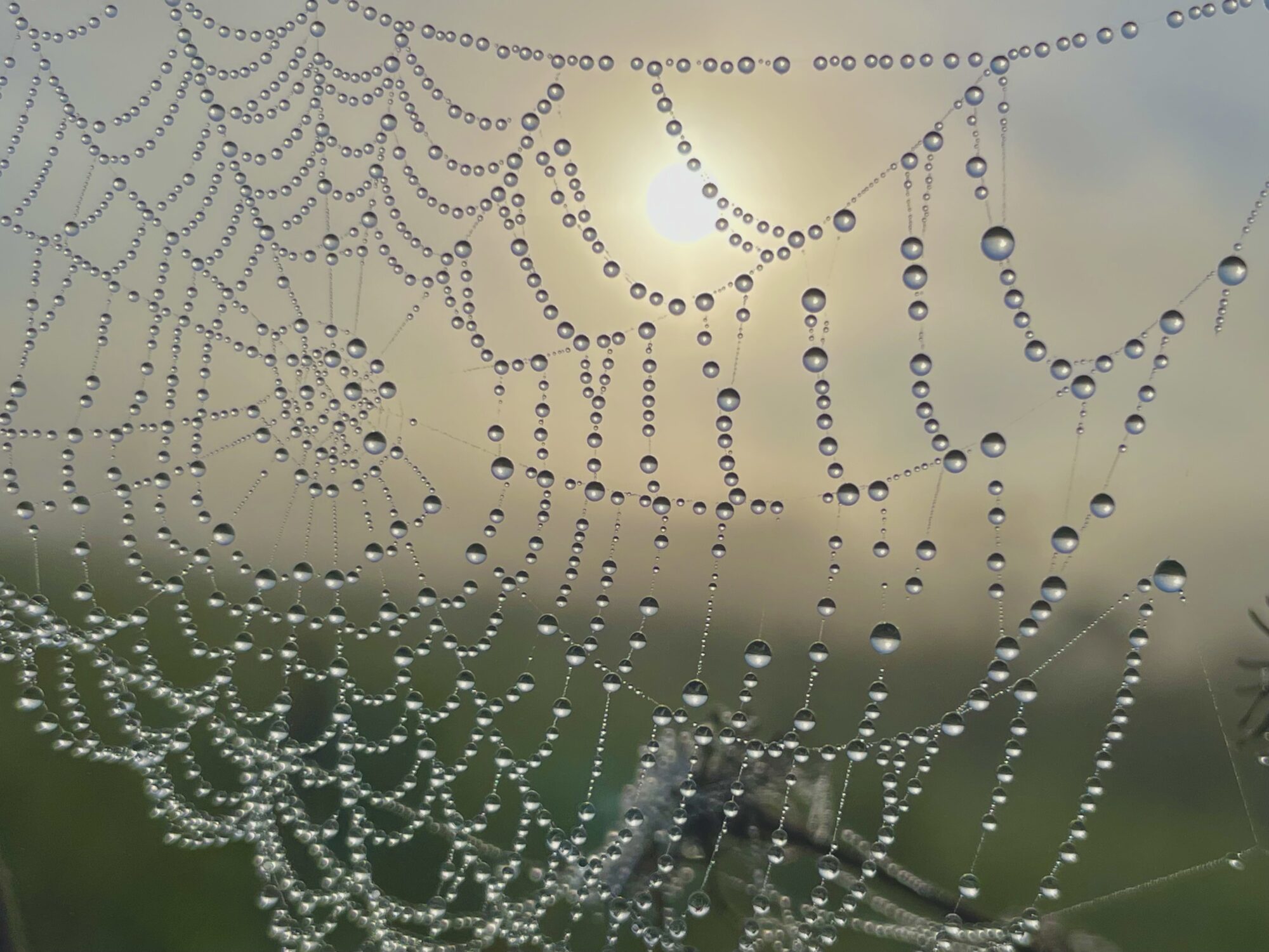 Valokuvaaja: Juhani Peltonen