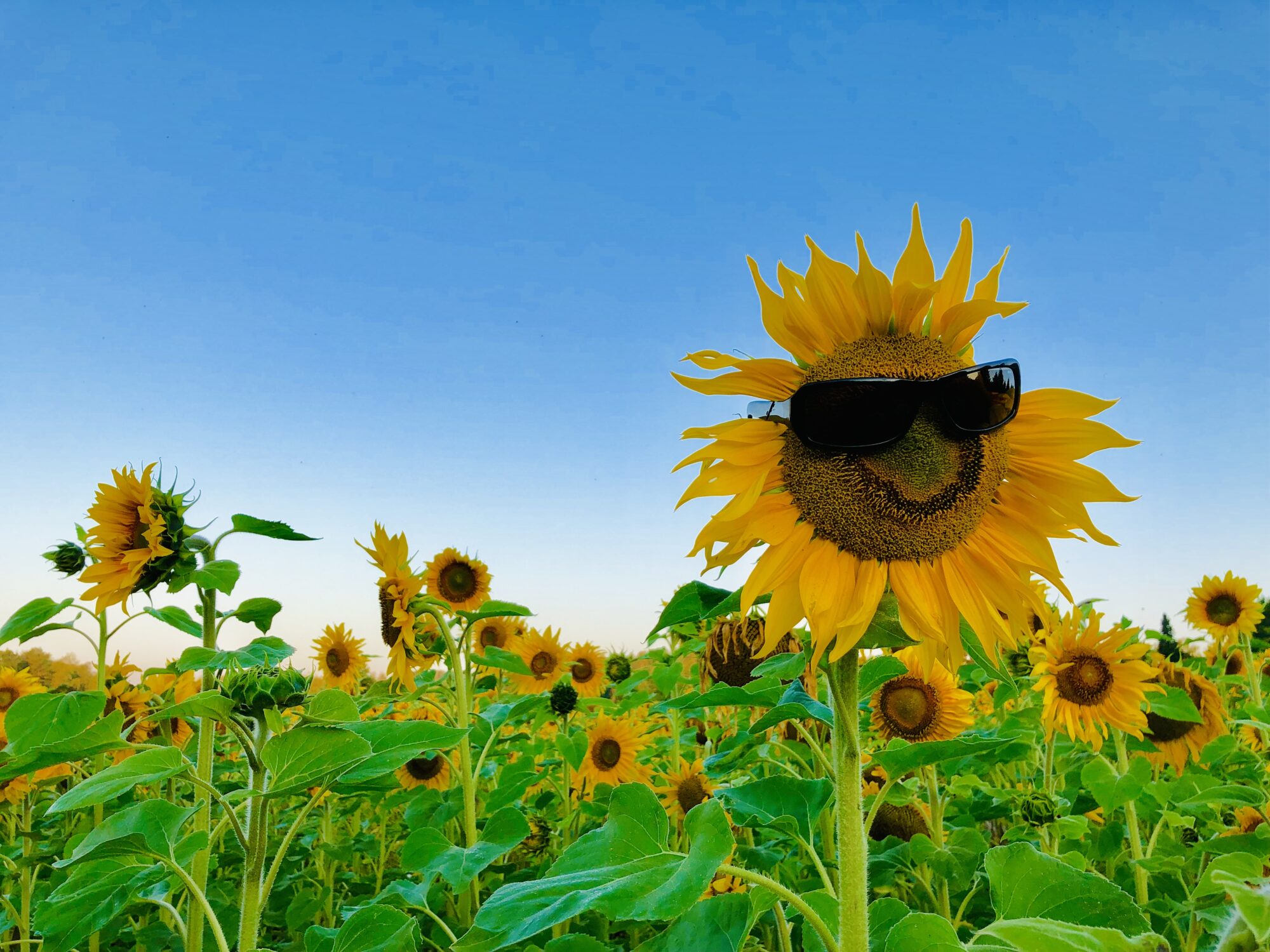 Valokuvaaja: Juhani Peltonen