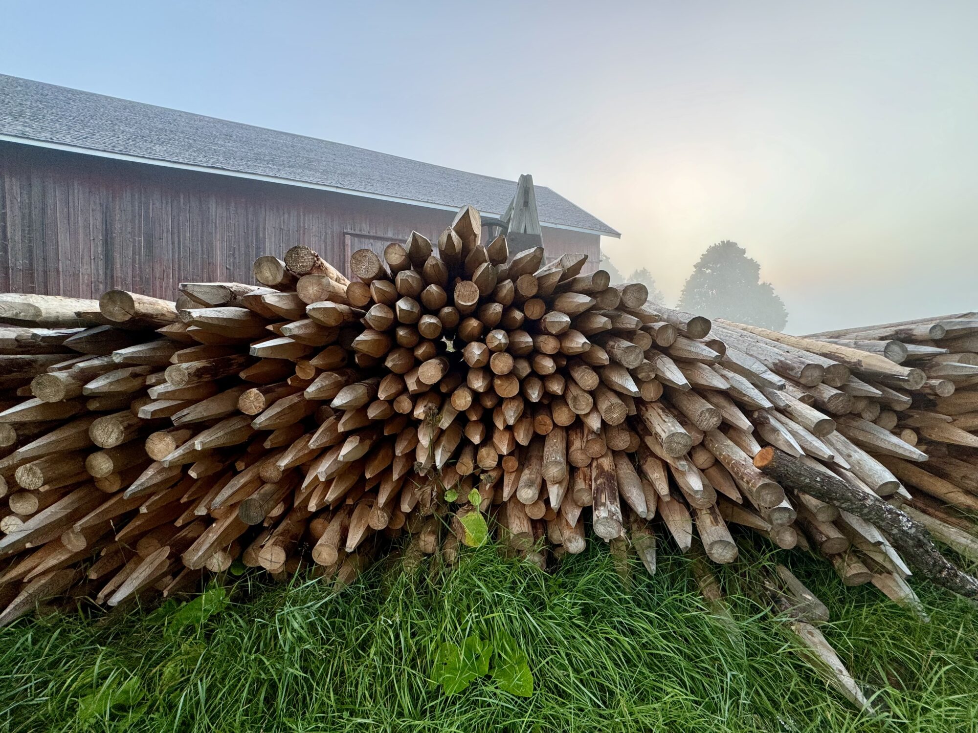 Valokuvaaja: Juhani Peltonen
