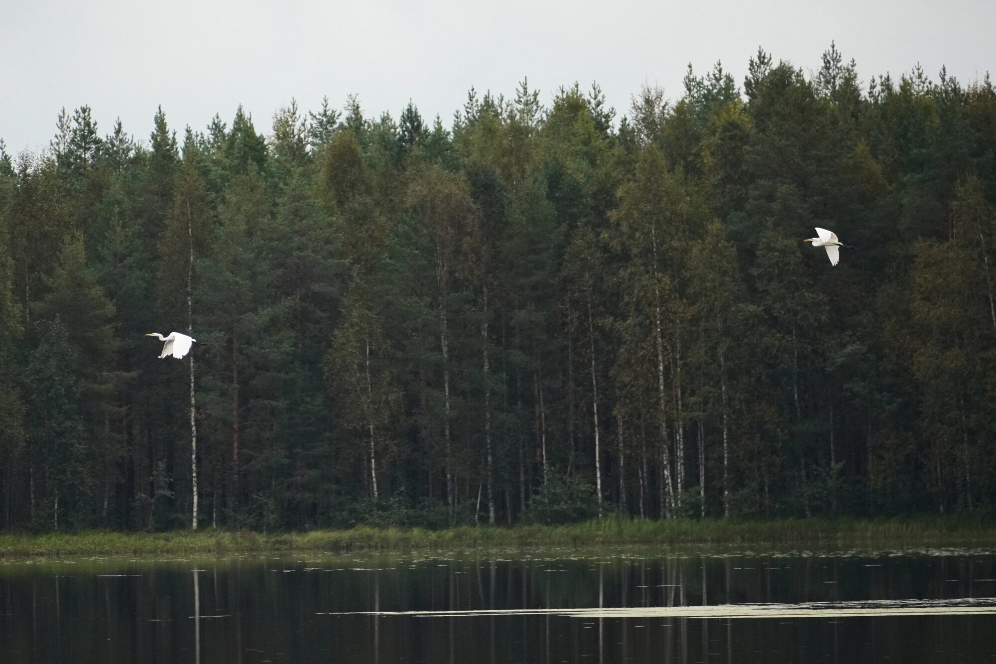 Valokuvaaja: Samu Leinonen Valokuvaaja: Samu Leinonen