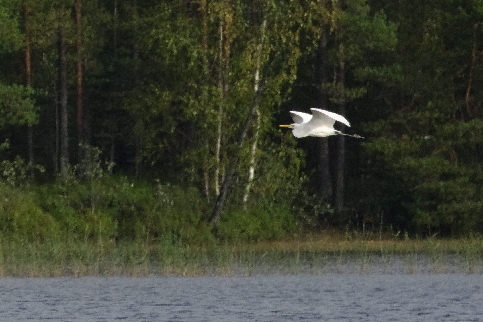 Valokuvaaja: Samu Leinonen