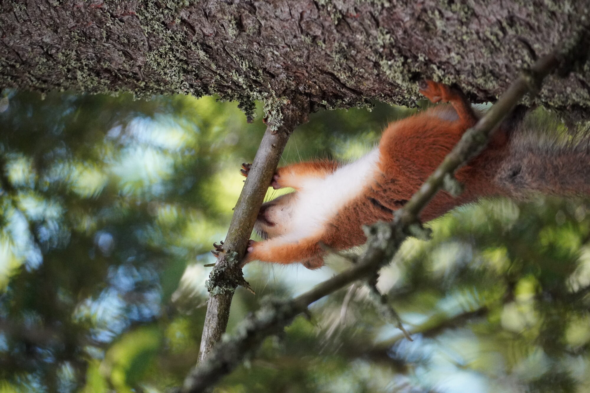 Valokuvaaja: Samu Leinonen