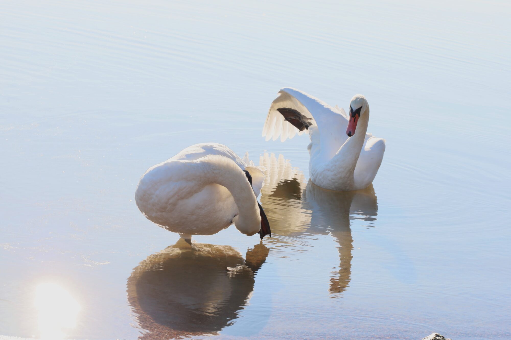 Valokuvaaja: Armi Järvinen
