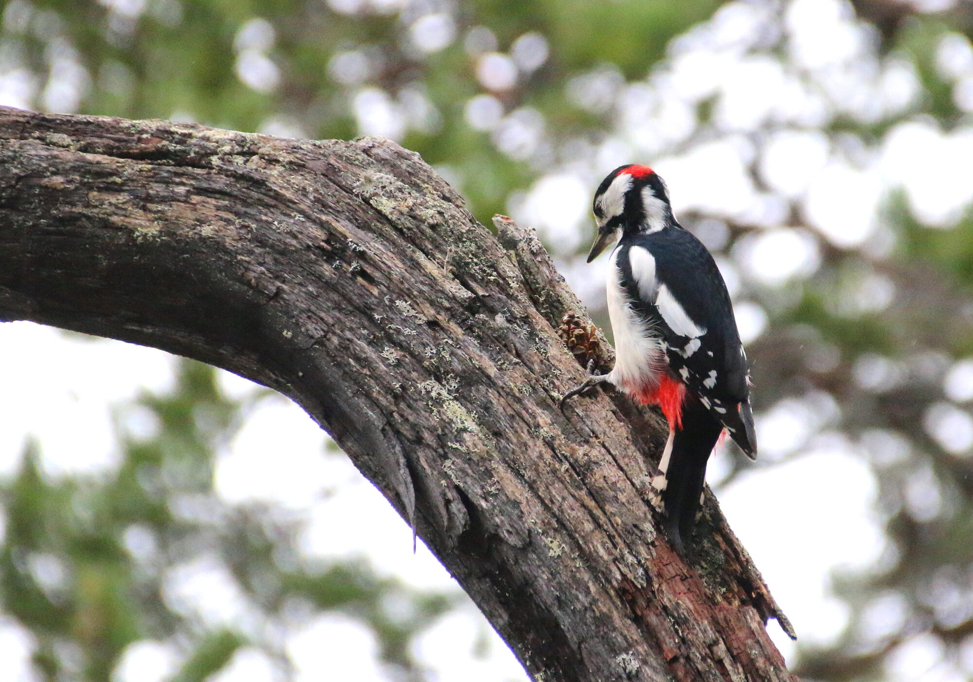 Valokuvaaja: Tuukka Pahtamaa