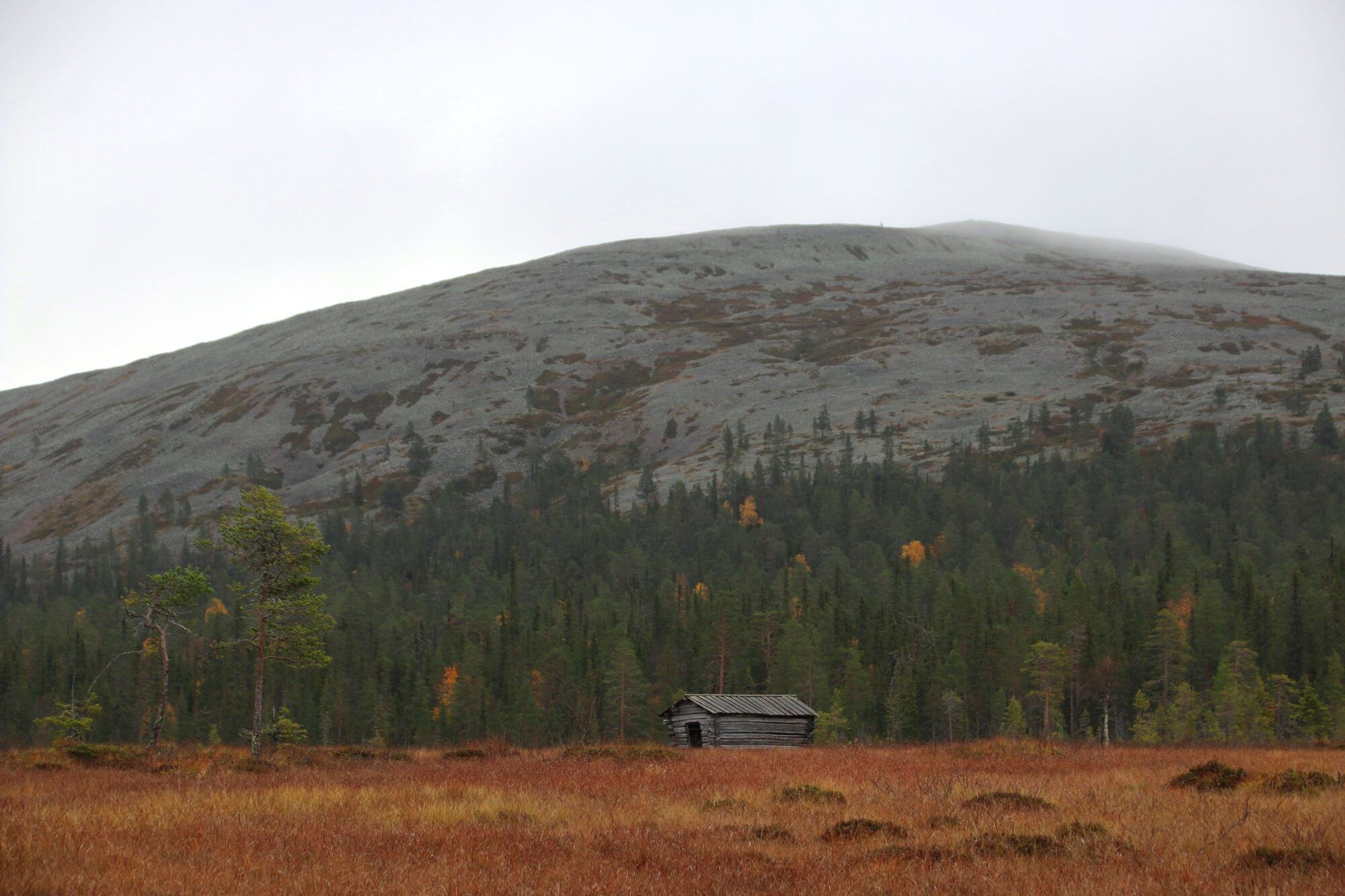 Valokuvaaja: Tuukka Pahtamaa